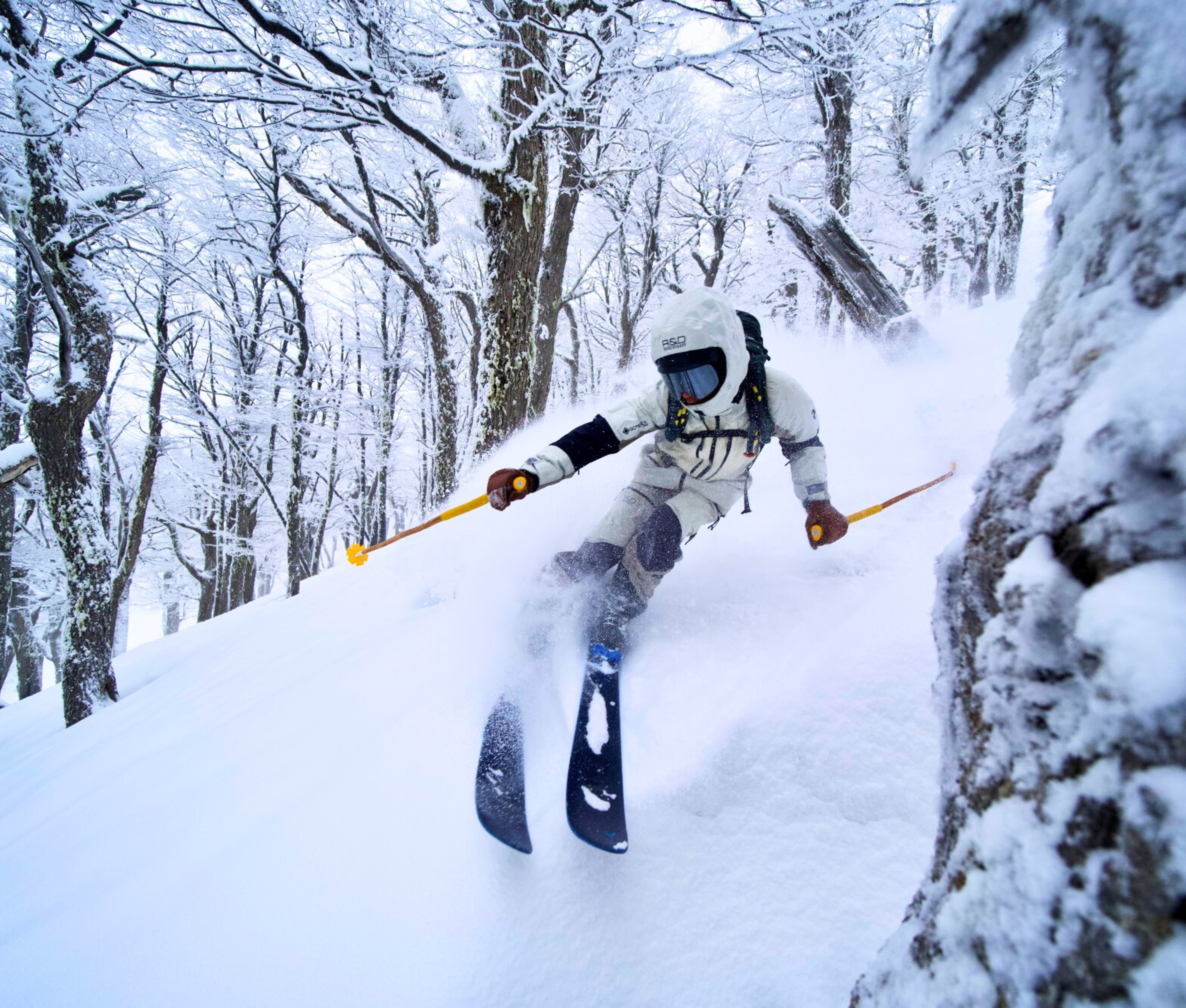 Tao Snow
