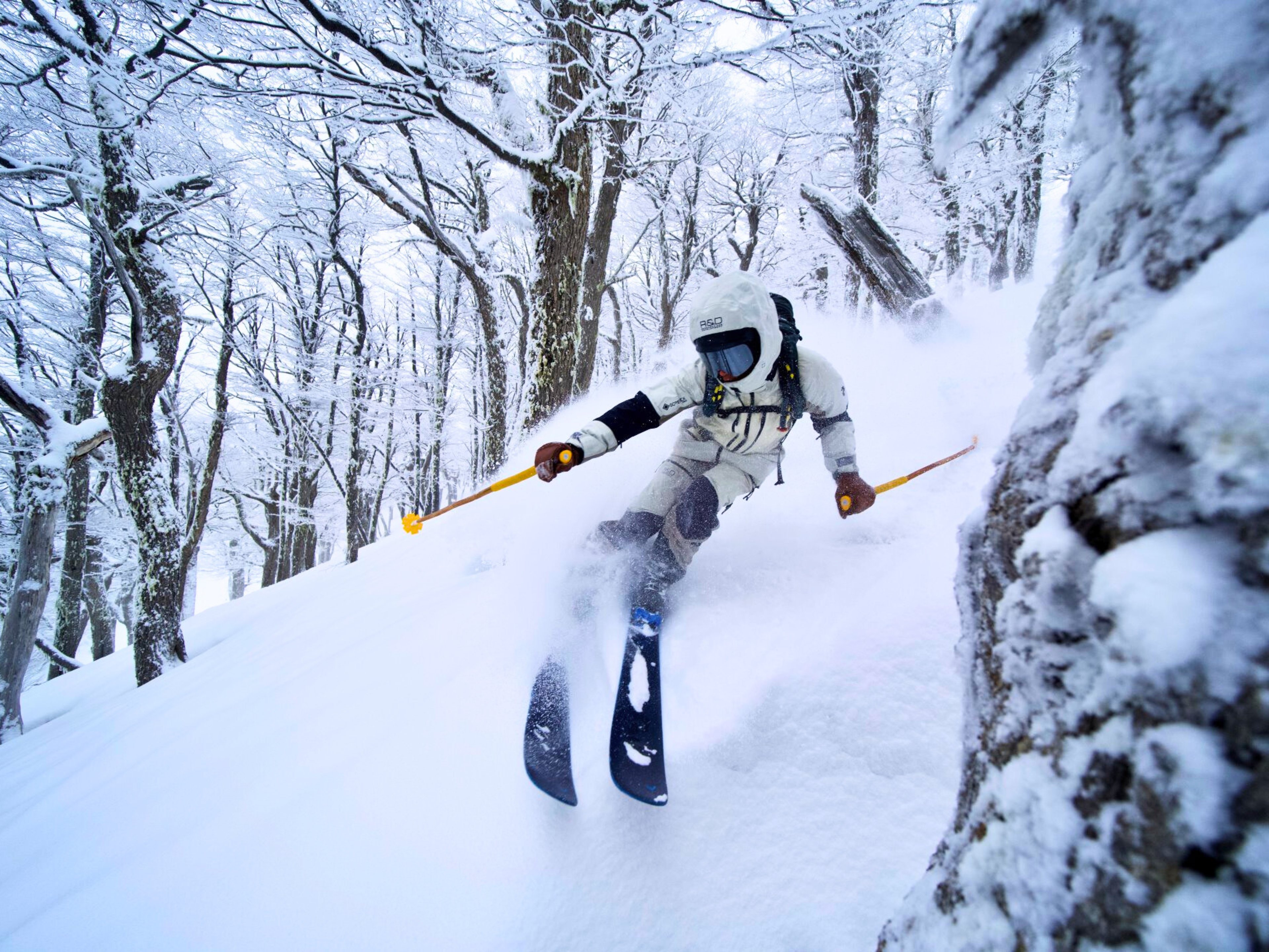 Tao Snow