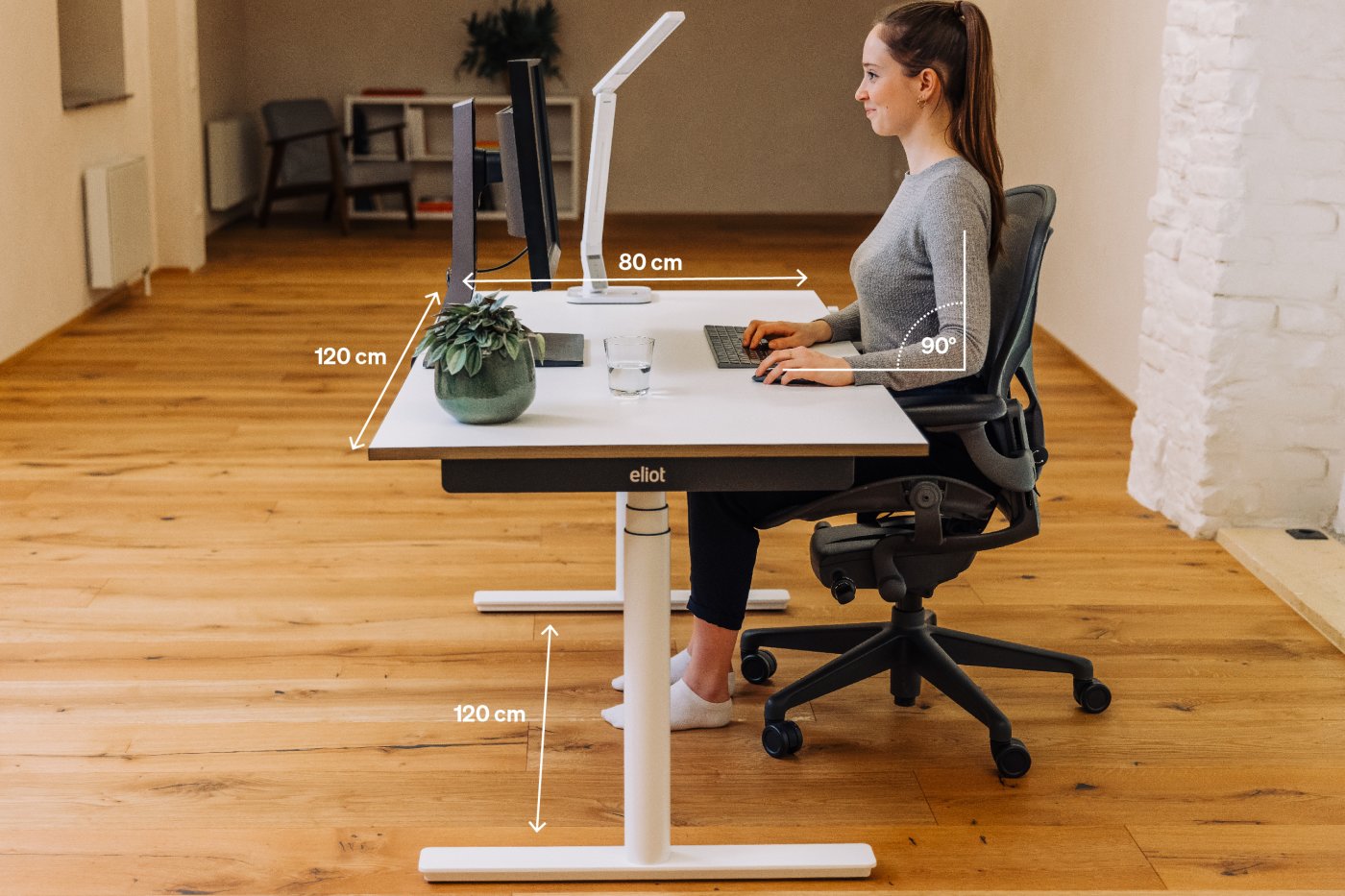 The Ergonomic Desk