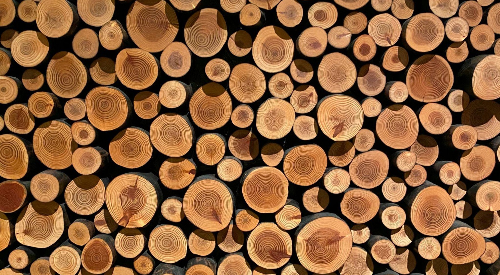https://storage.googleapis.com/oneworld-prod/assets/Holz_Schlafen2.jpg?v=1756722194