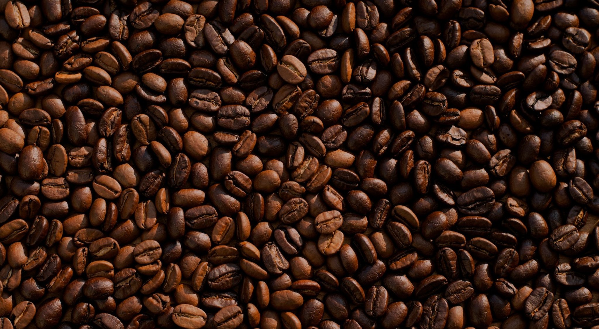https://storage.googleapis.com/oneworld-prod/assets/Koffein-5.jpg?v=1762781487