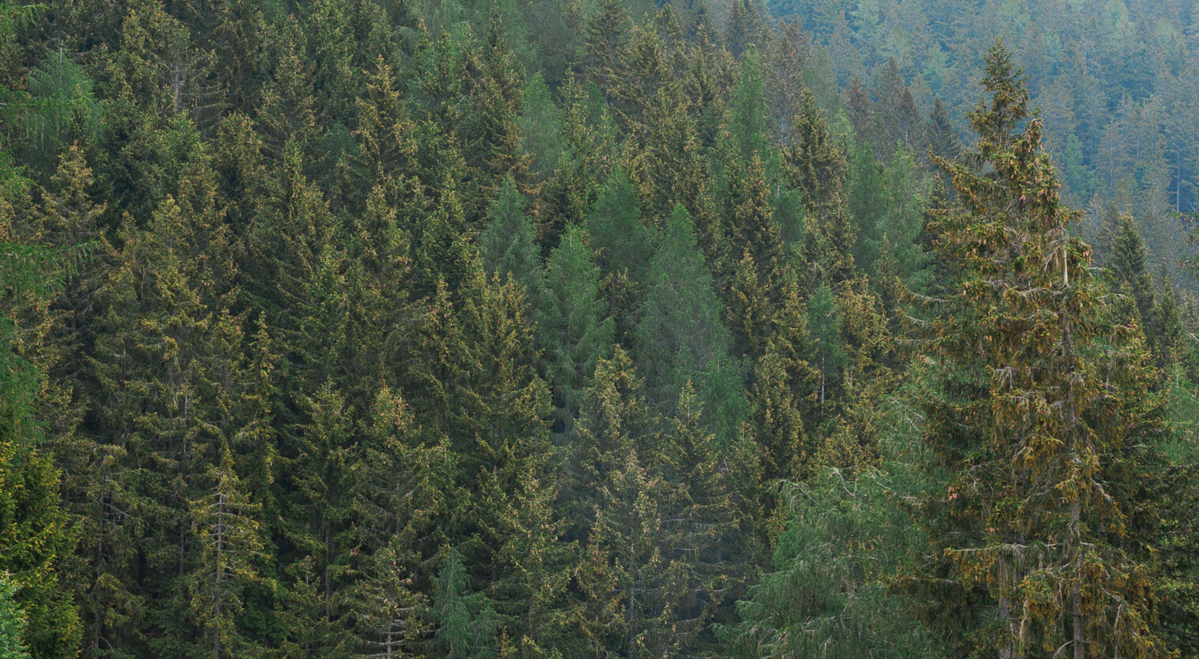 https://storage.googleapis.com/oneworld-prod/assets/2020_OUTDOOR_MOOD-8470_2021-07-02-103340_ehjv_2021-07-02-103453_twon.jpg?v=1625222093