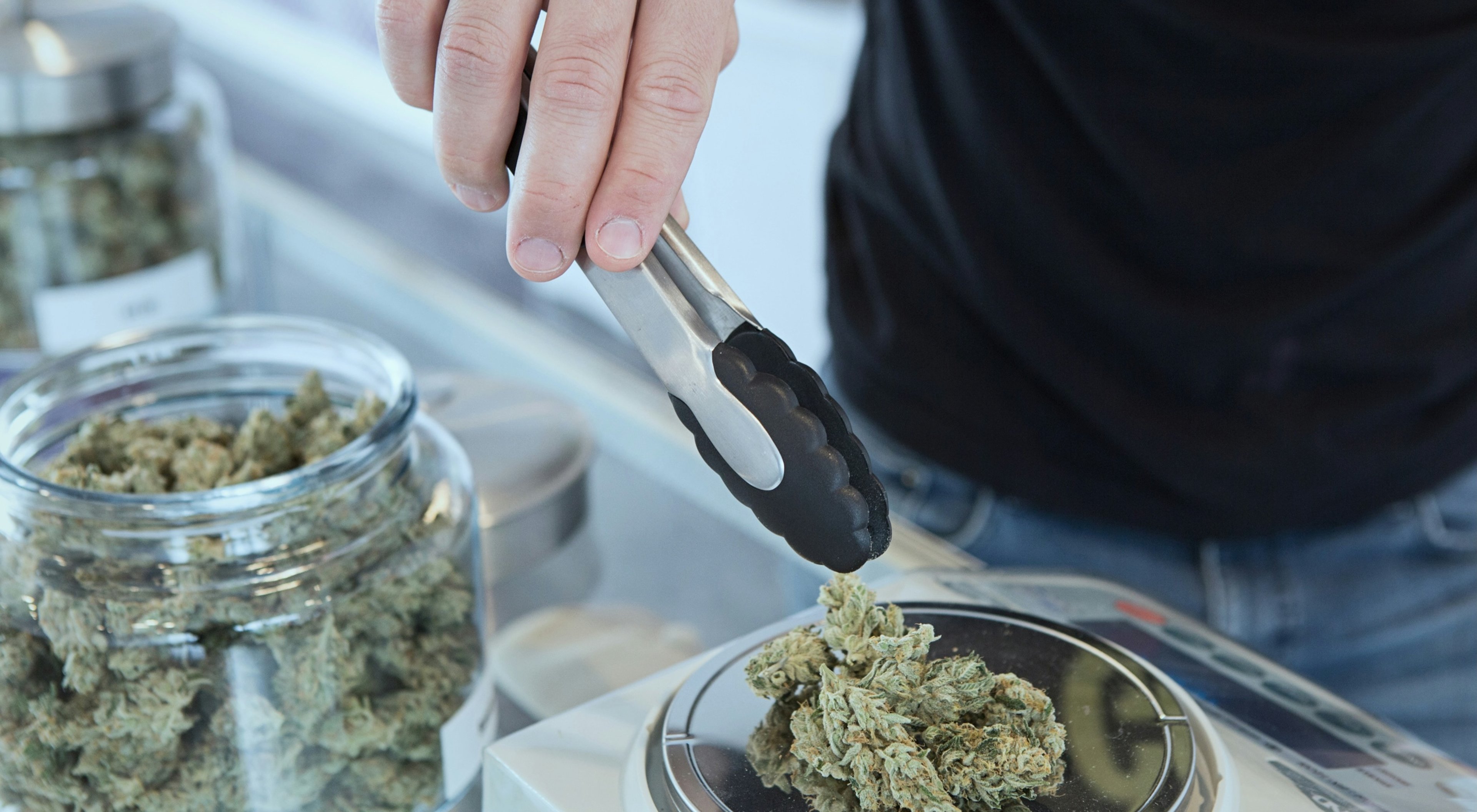 https://storage.googleapis.com/oneworld-prod/assets/Cannabis-4.jpg?v=1771946502