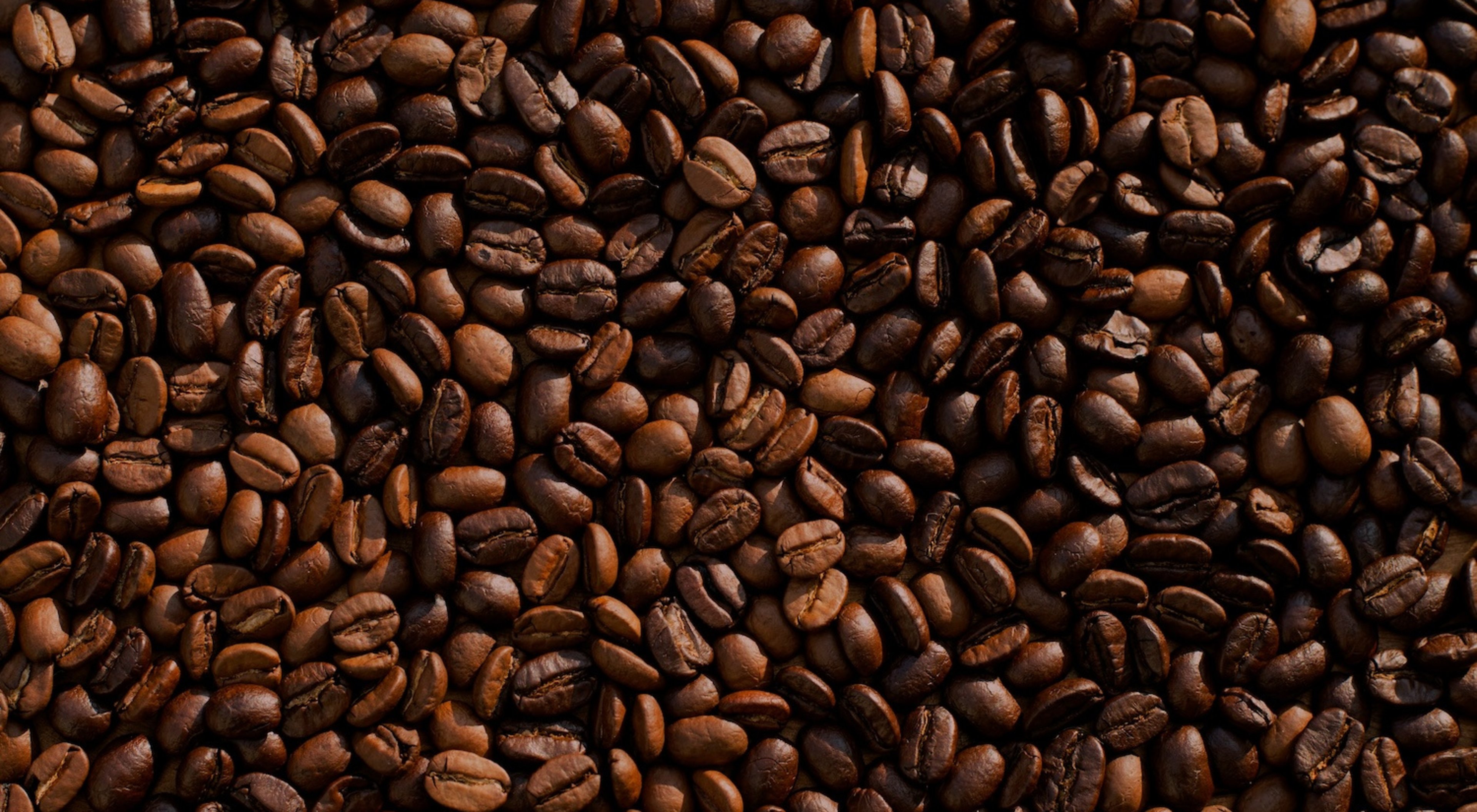 https://storage.googleapis.com/oneworld-prod/assets/Koffein-5.jpg?v=1762781487