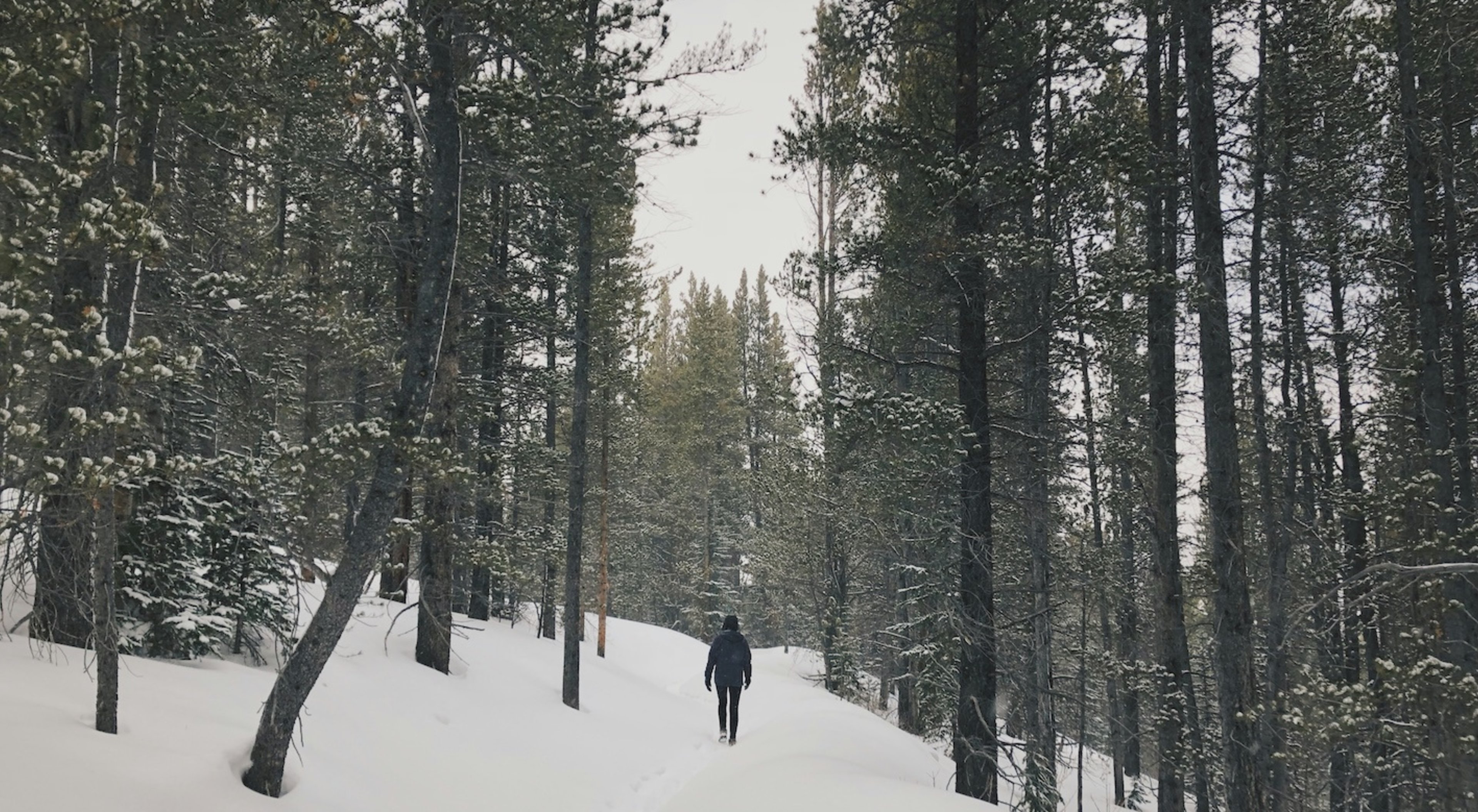 https://storage.googleapis.com/oneworld-prod/assets/Winterspaziergang.jpg?v=1764257895