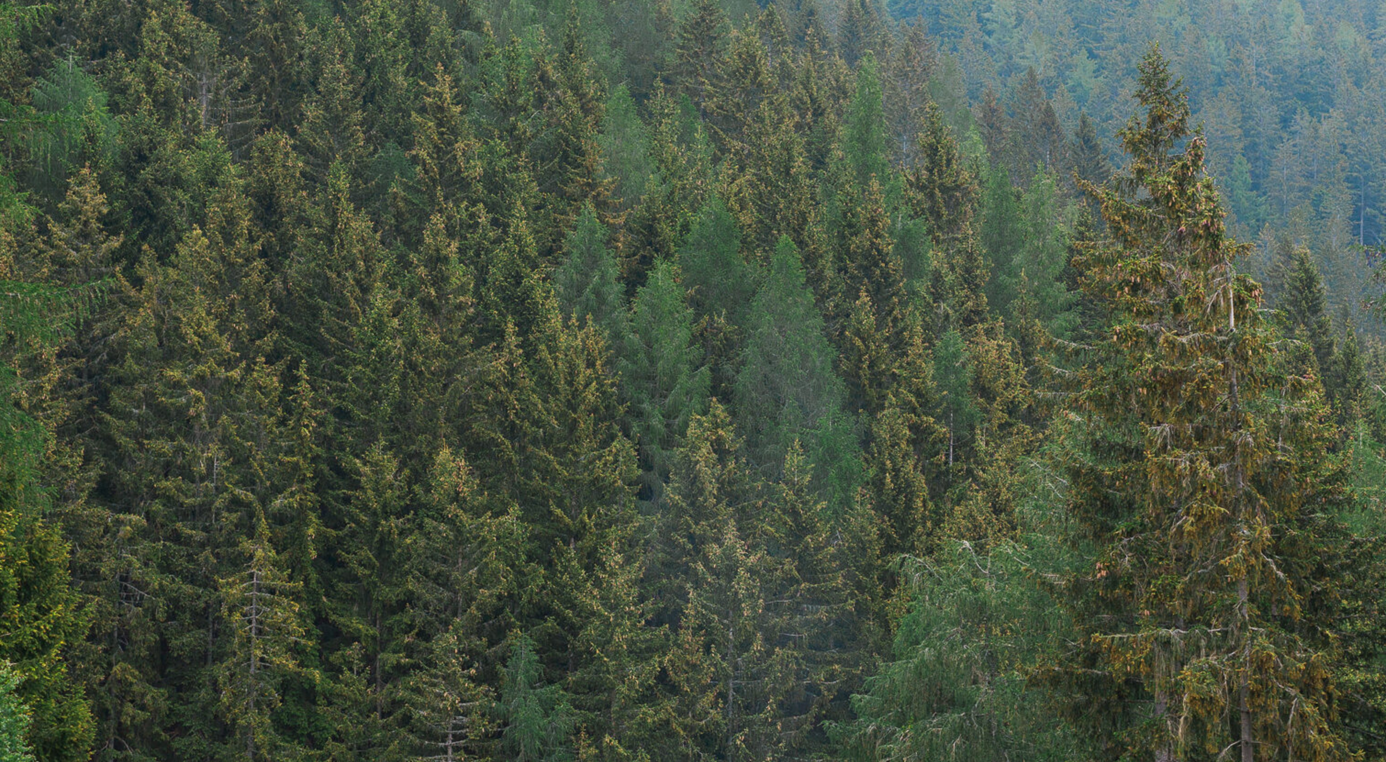 https://storage.googleapis.com/oneworld-prod/assets/2020_OUTDOOR_MOOD-8470_2021-07-02-103340_ehjv_2021-07-02-103453_twon.jpg?v=1625222093