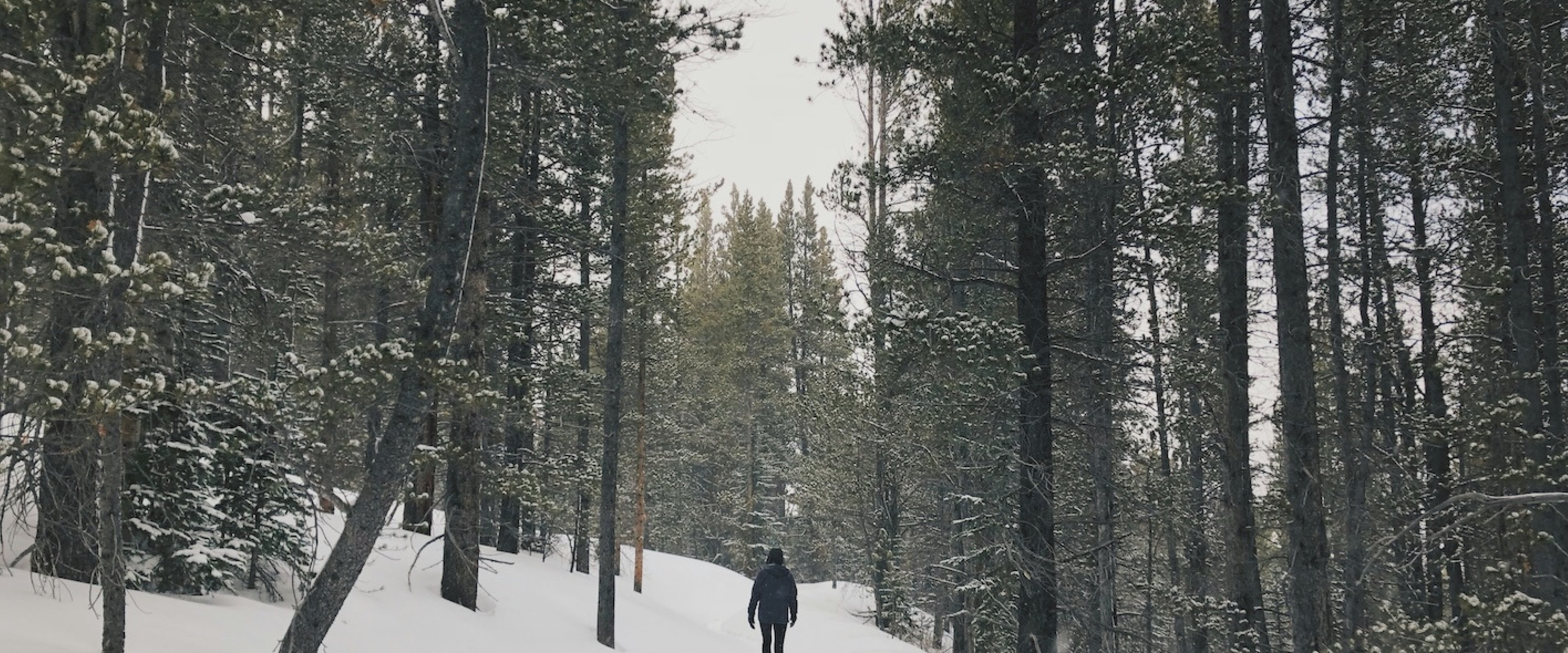 The Christmas Walk: The Simplest Ritual for More Peace, Health, and Connection