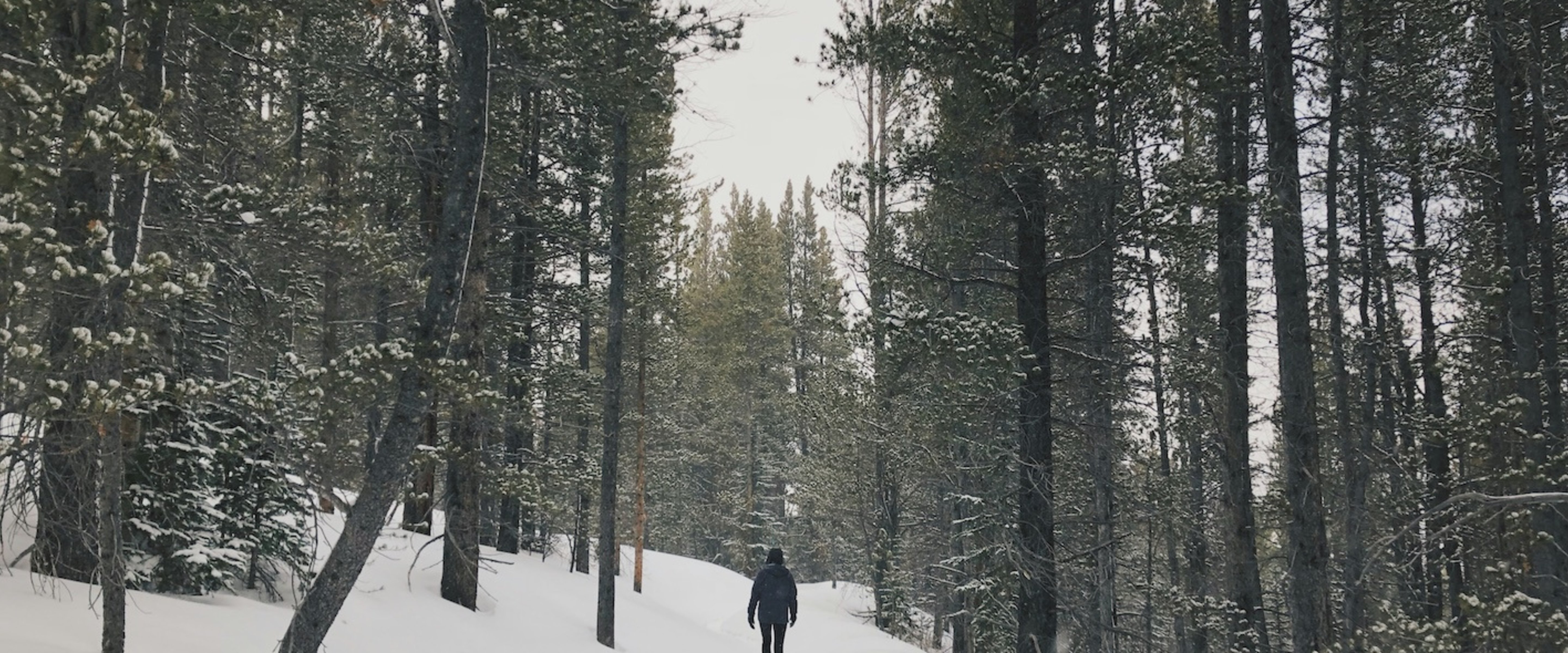 The Christmas Walk: The Simplest Ritual for More Peace, Health, and Connection