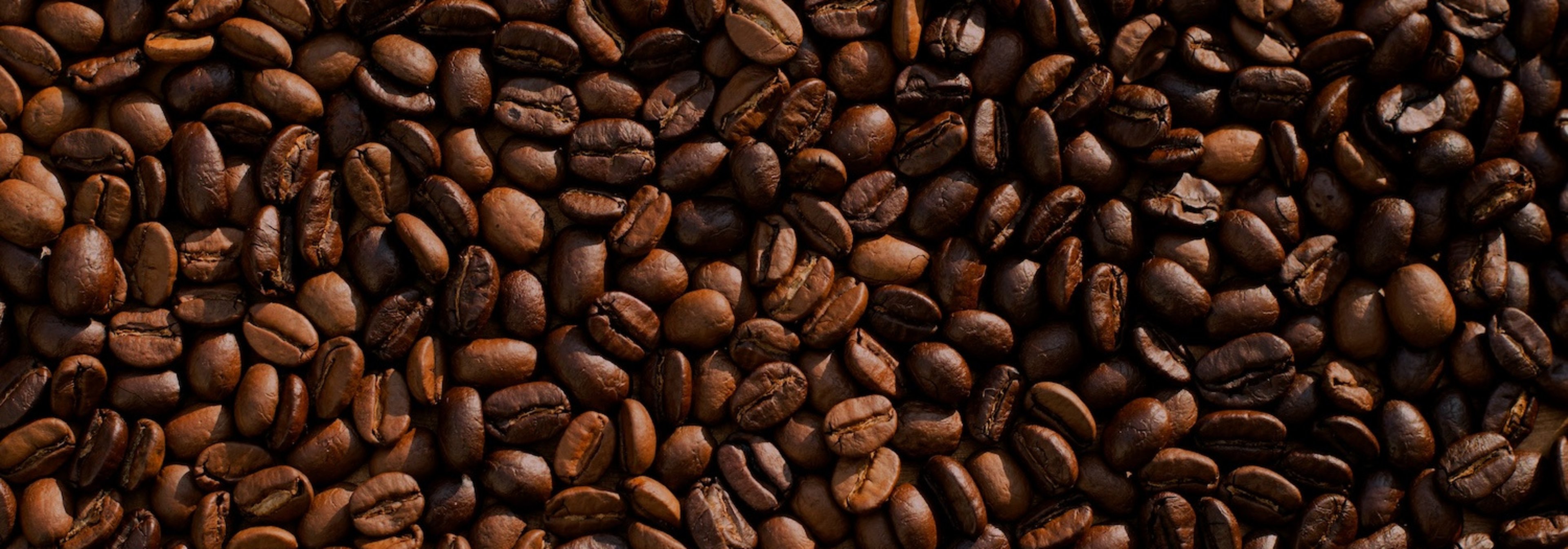 https://storage.googleapis.com/oneworld-prod/assets/Koffein-5.jpg?v=1762781487
