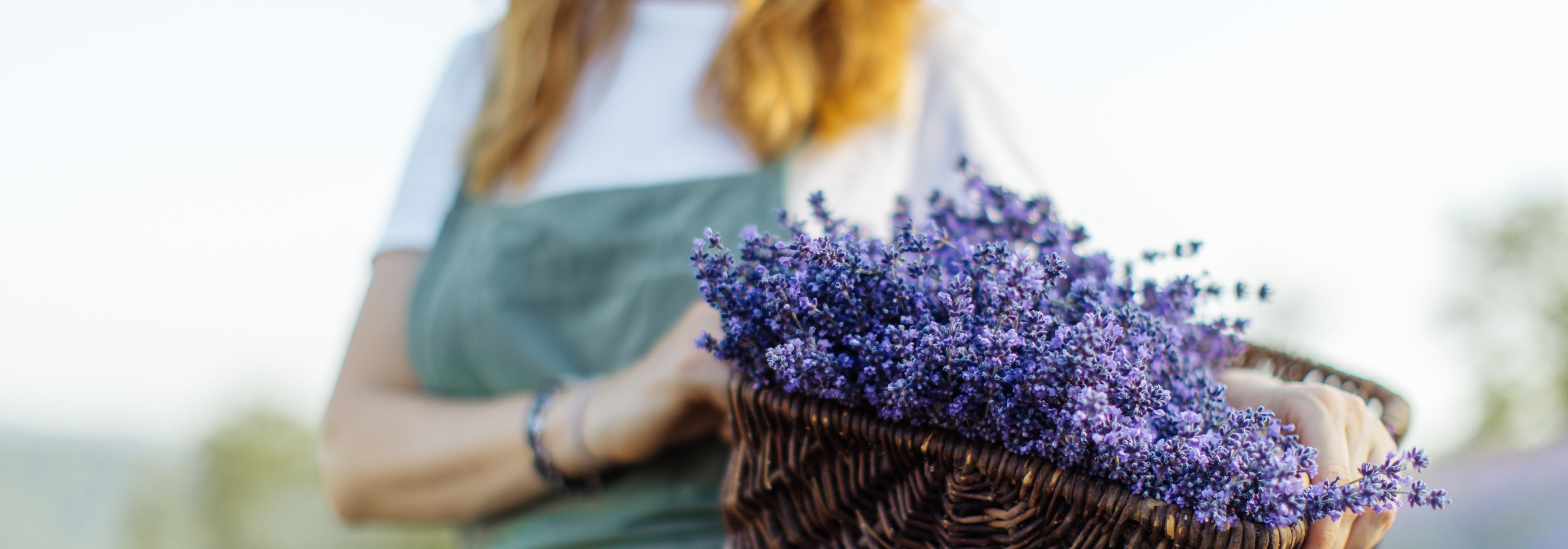 https://storage.googleapis.com/oneworld-prod/assets/lavendel-tradition.jpeg?v=1682516822