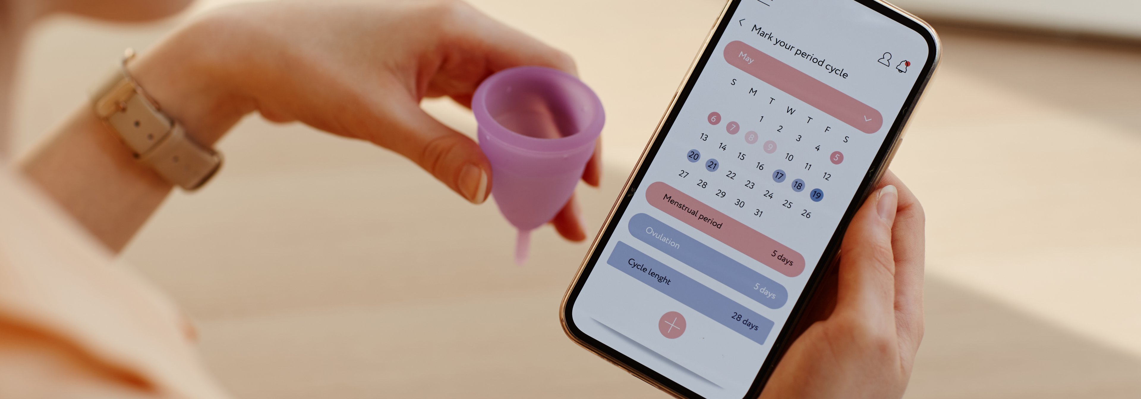 https://storage.googleapis.com/oneworld-prod/assets/zyklusbasiertes-training-menstruation-app.jpeg?v=1716454126