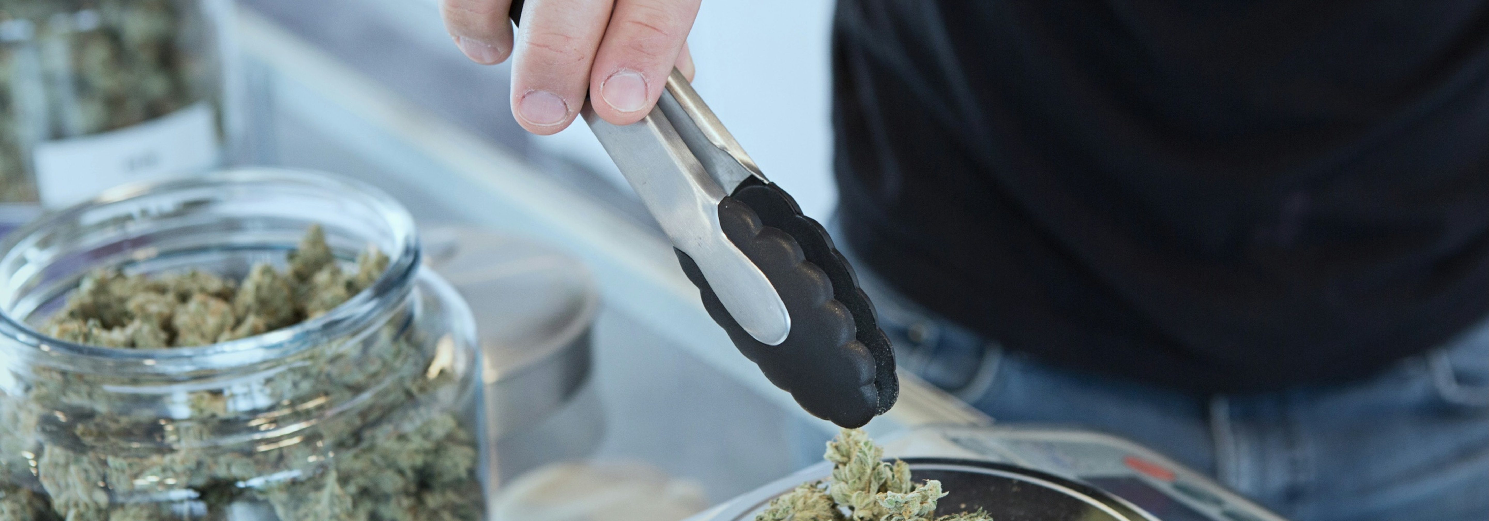 https://storage.googleapis.com/oneworld-prod/assets/Cannabis-4.jpg?v=1771946502
