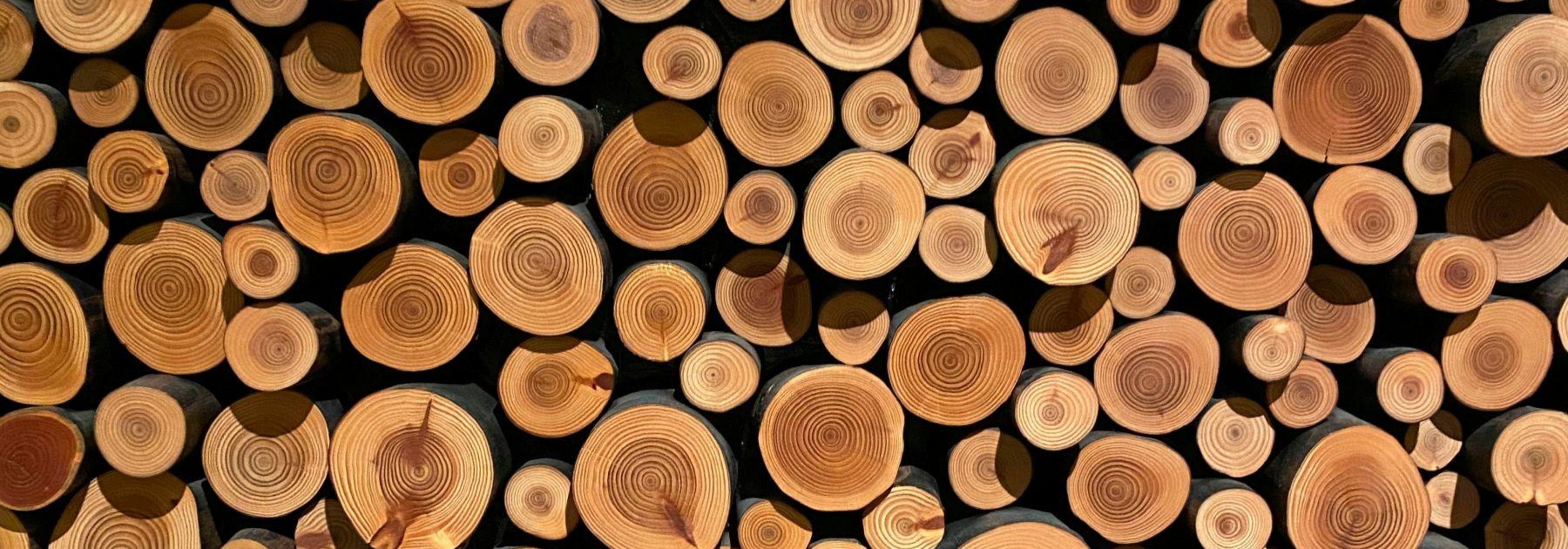https://storage.googleapis.com/oneworld-prod/assets/Holz_Schlafen2.jpg?v=1756722194
