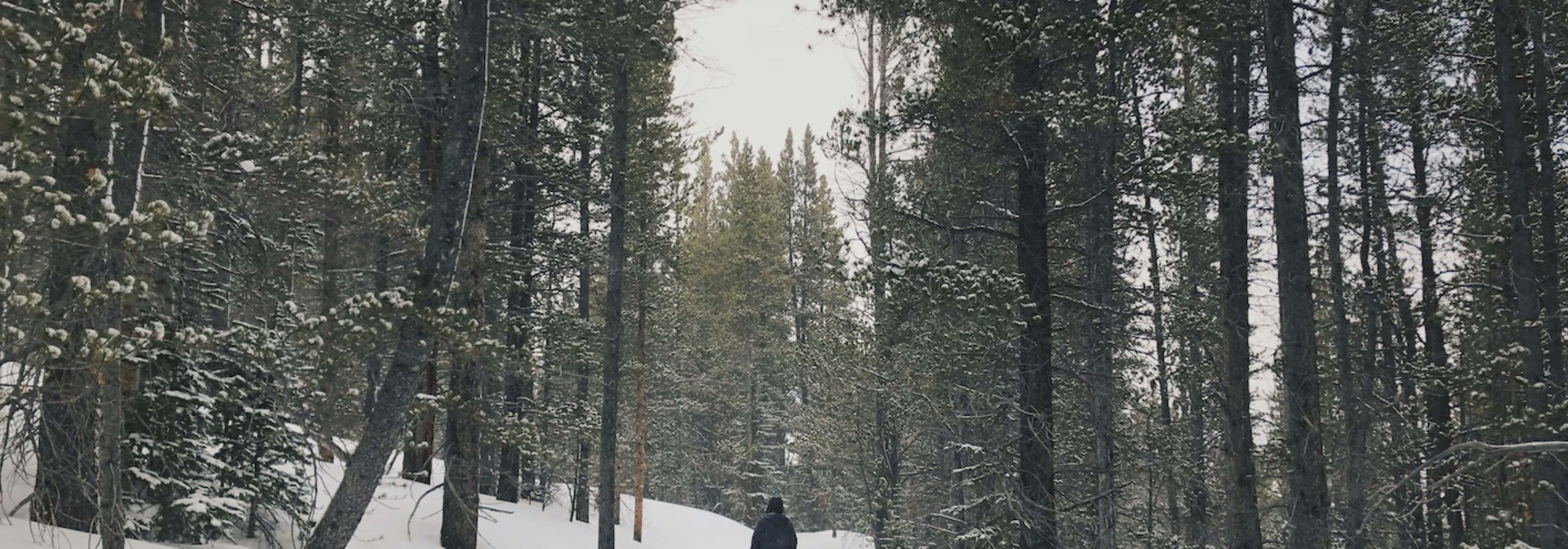 https://storage.googleapis.com/oneworld-prod/assets/Winterspaziergang.jpg?v=1764257895
