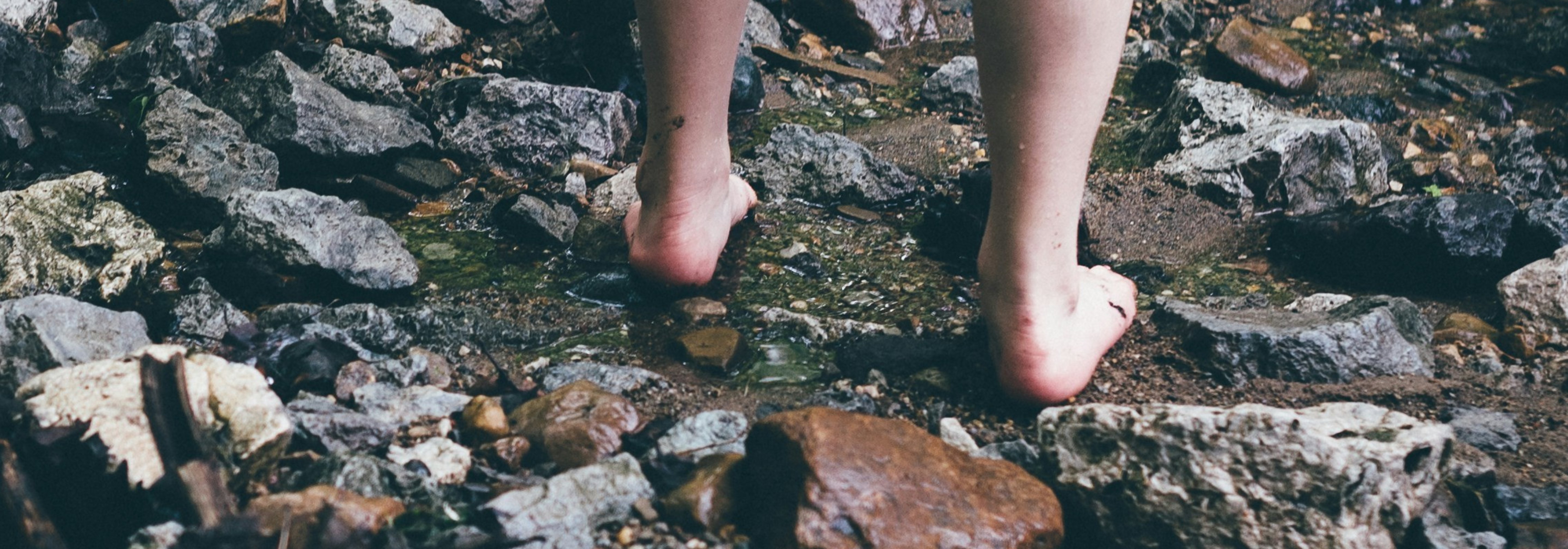 https://storage.googleapis.com/oneworld-prod/assets/jordan-whitt-SbwFw7yPgn0-unsplash.jpg?v=1719834357