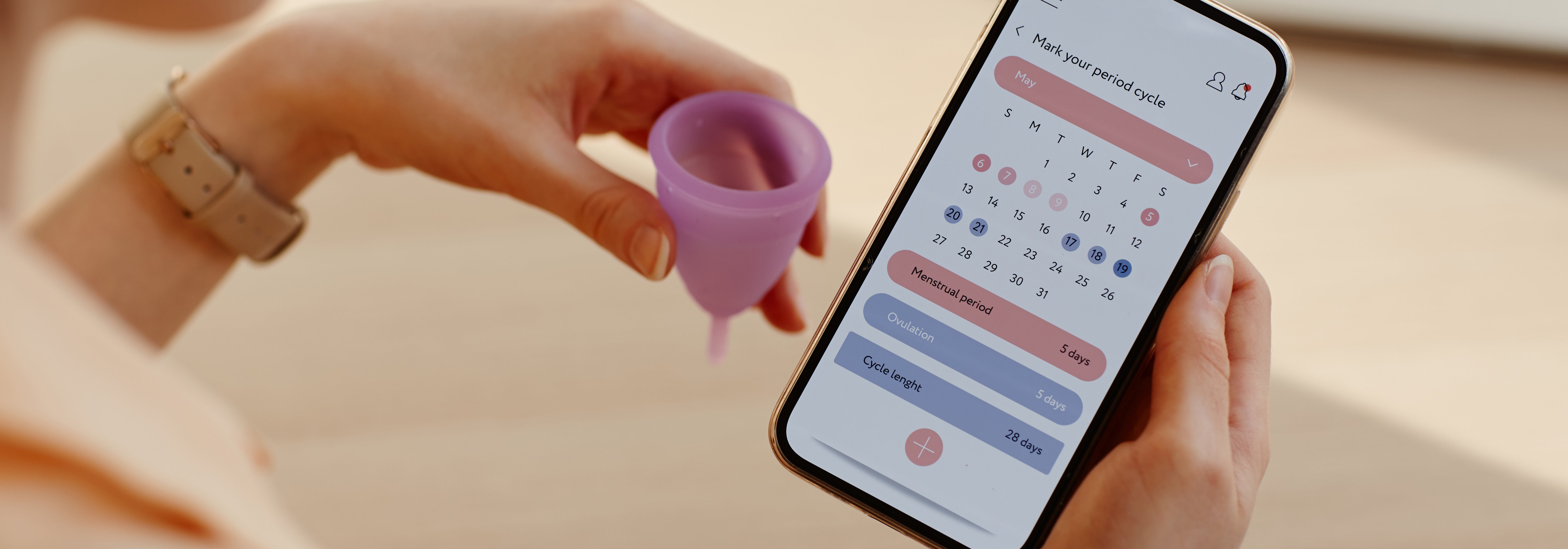 https://storage.googleapis.com/oneworld-prod/assets/zyklusbasiertes-training-menstruation-app.jpeg?v=1716454126