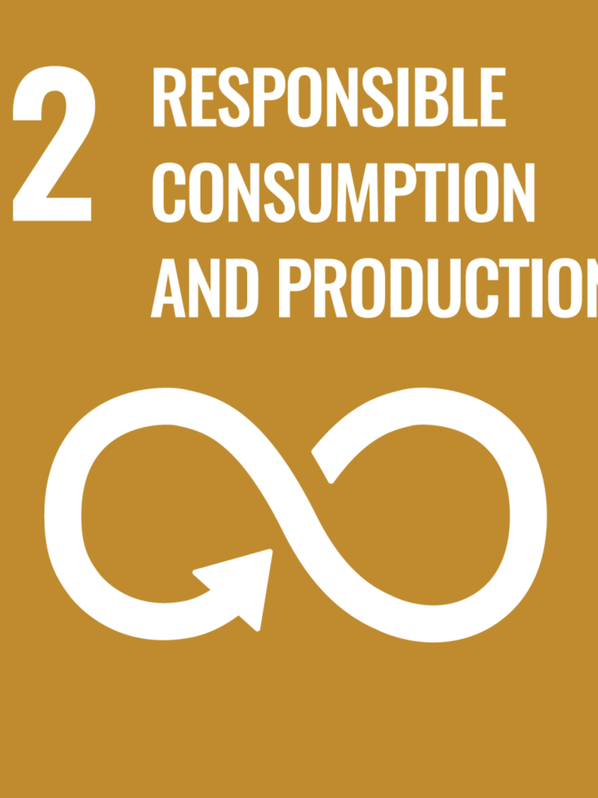 SDG_12_Verantwoorde consumptie en productie