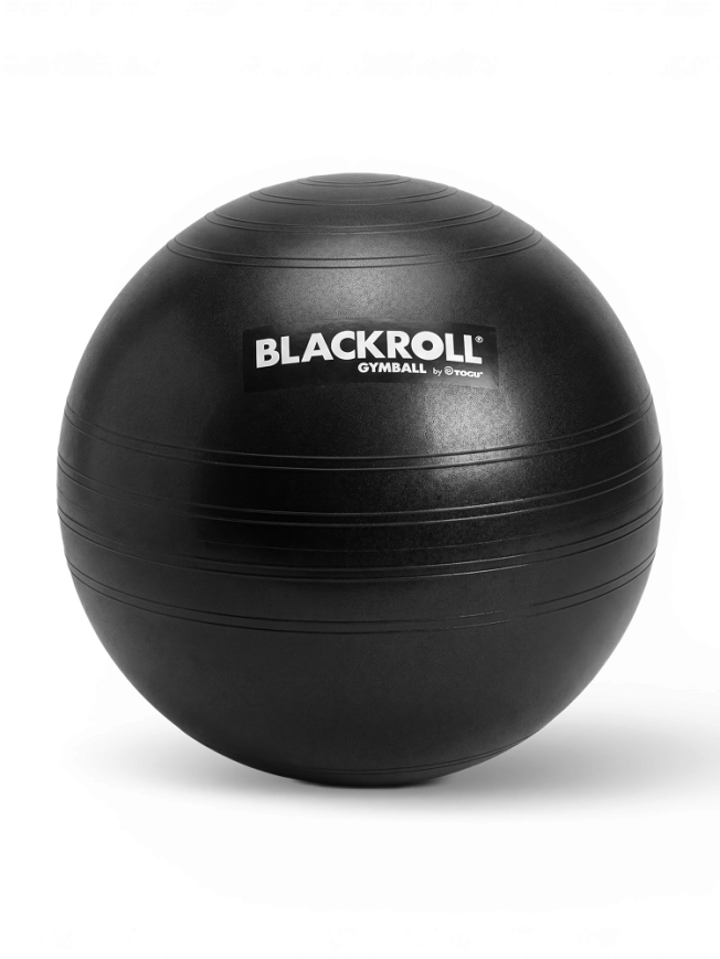 4116016 blackroll gymball angle 1