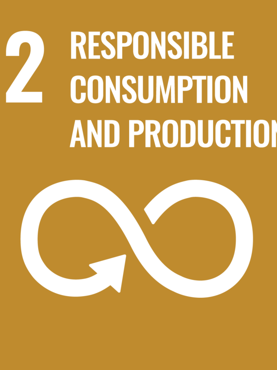 SDG_12_Verantwoorde consumptie en productie