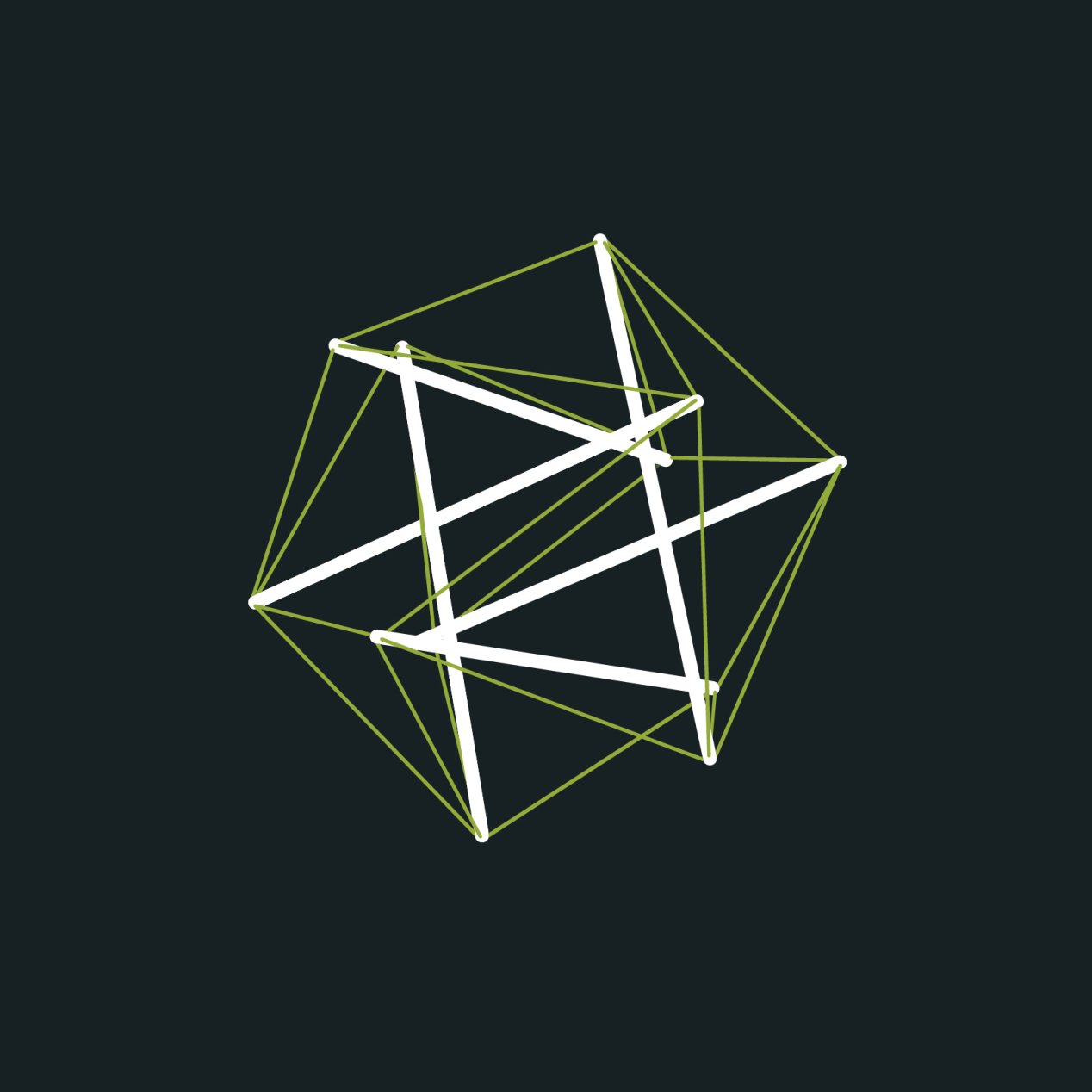 Tensegrity Model