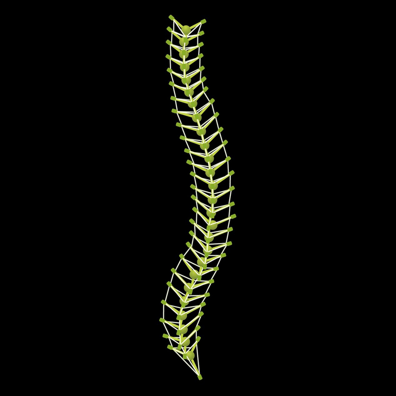 Biotensegrity Model of the Spine