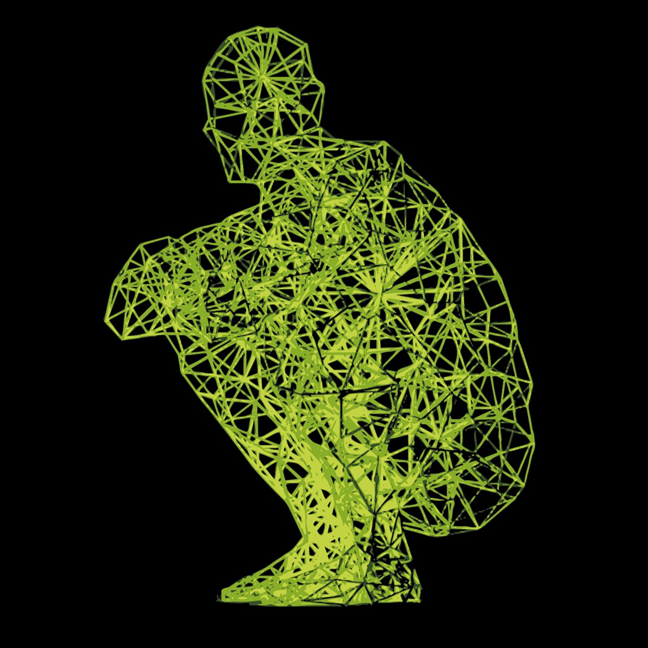 Biotensegrity Model of the Human Body