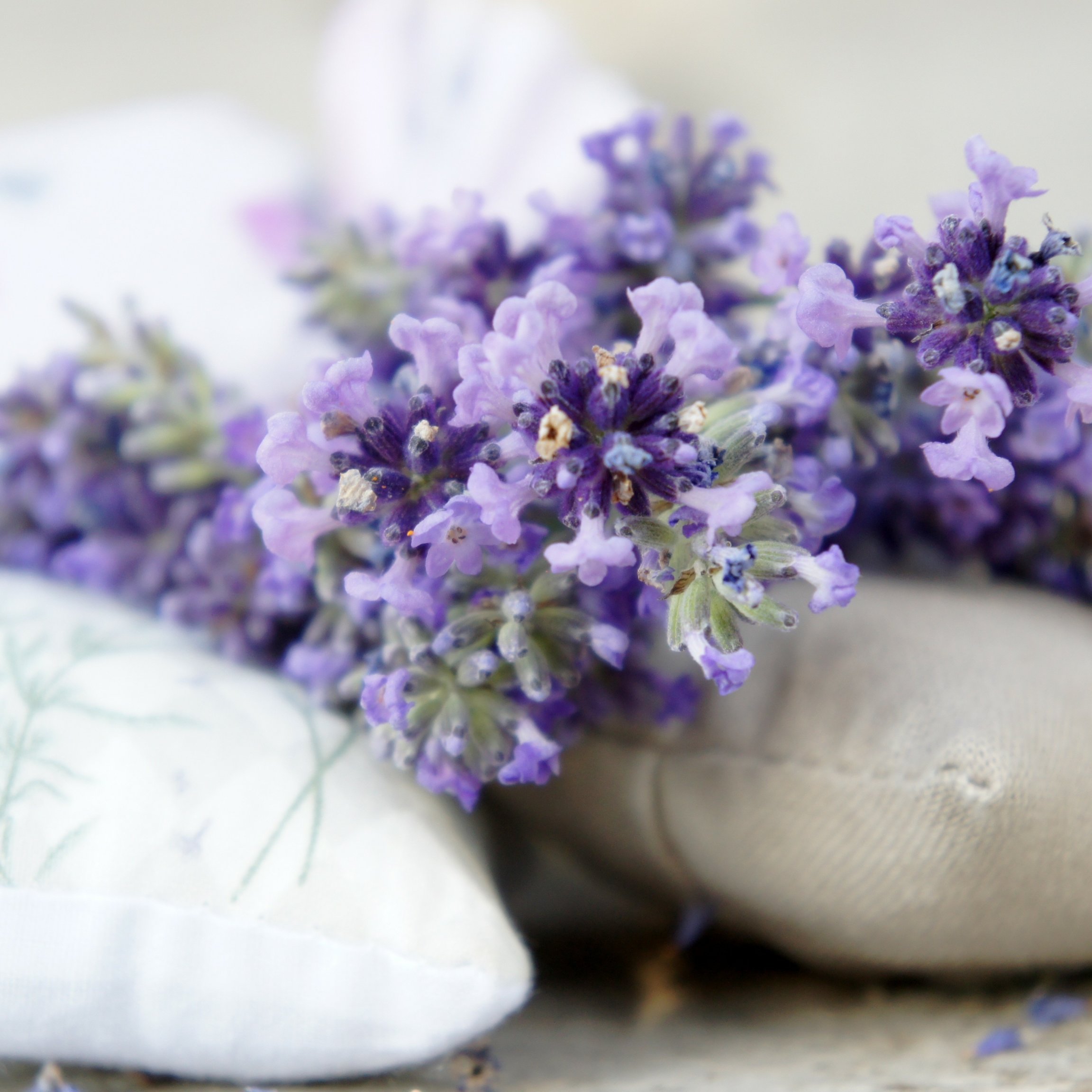 Lavender sachets for better sleep while traveling