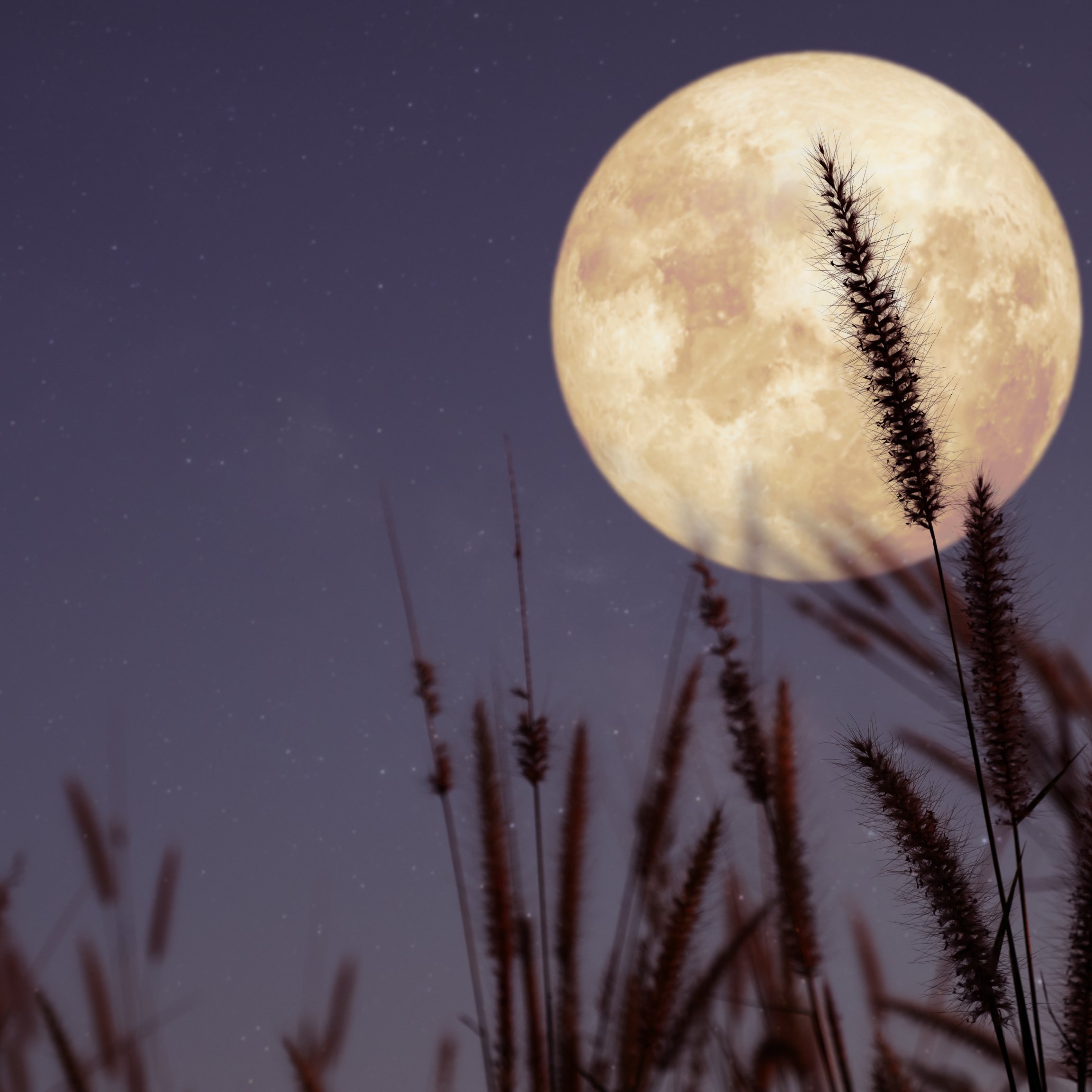 Full Moon