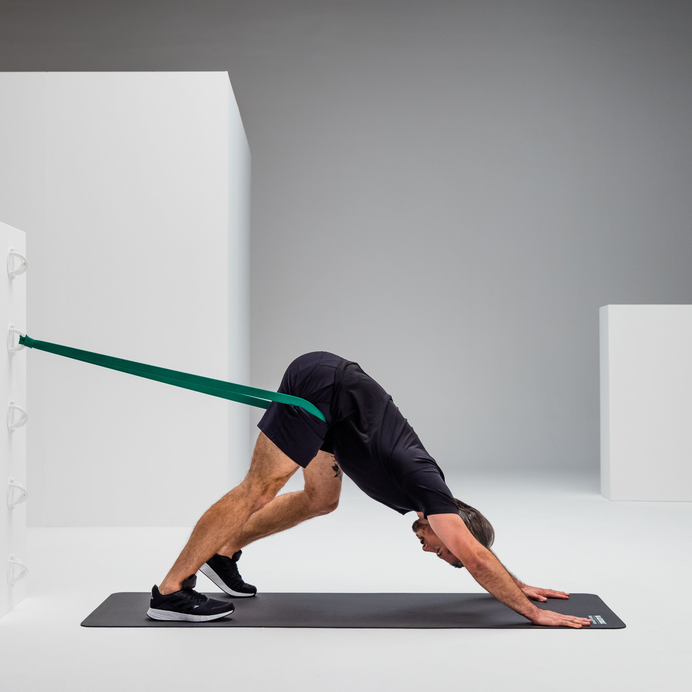 Downward Dog