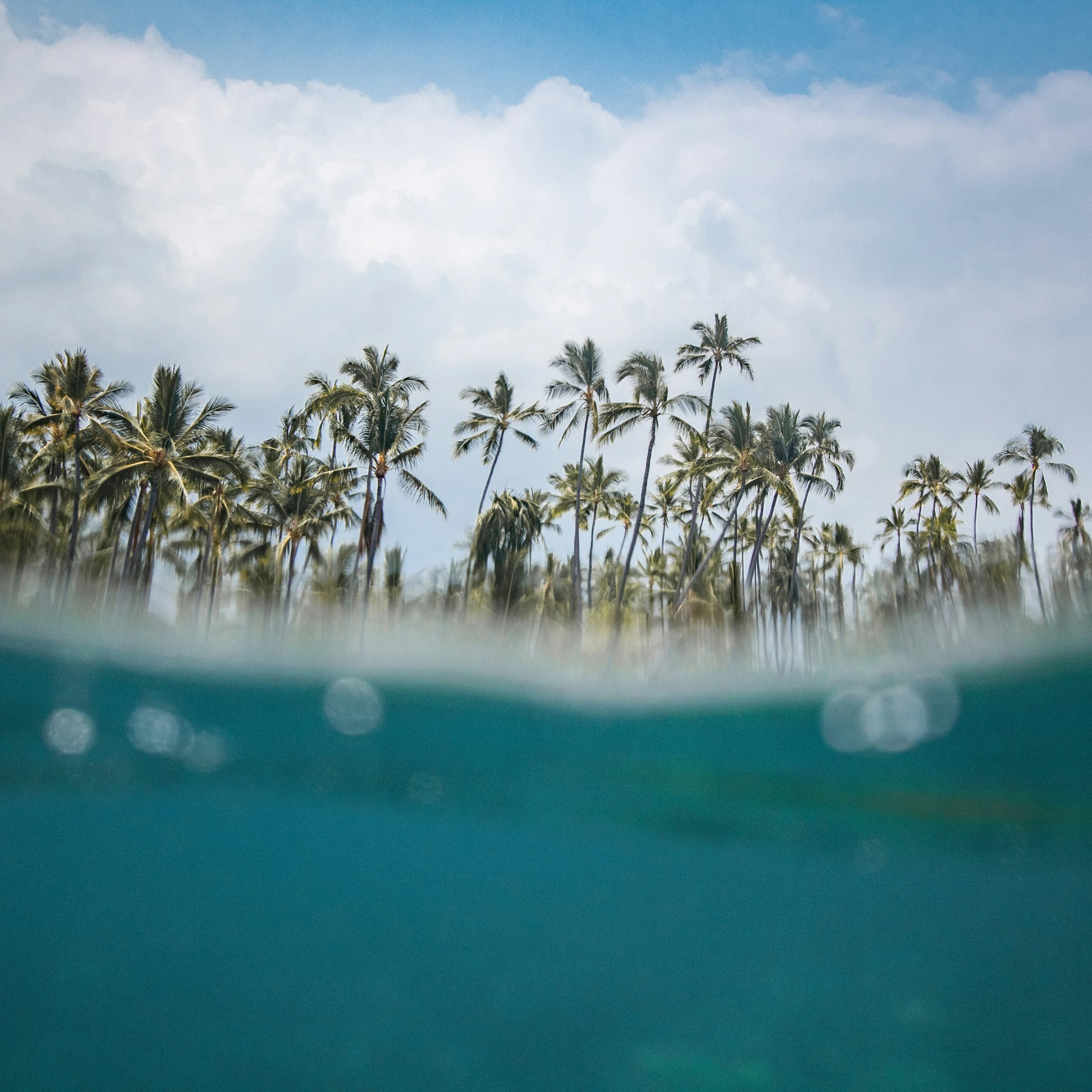 Relaxation by the sea: experience the healing power of the ocean.