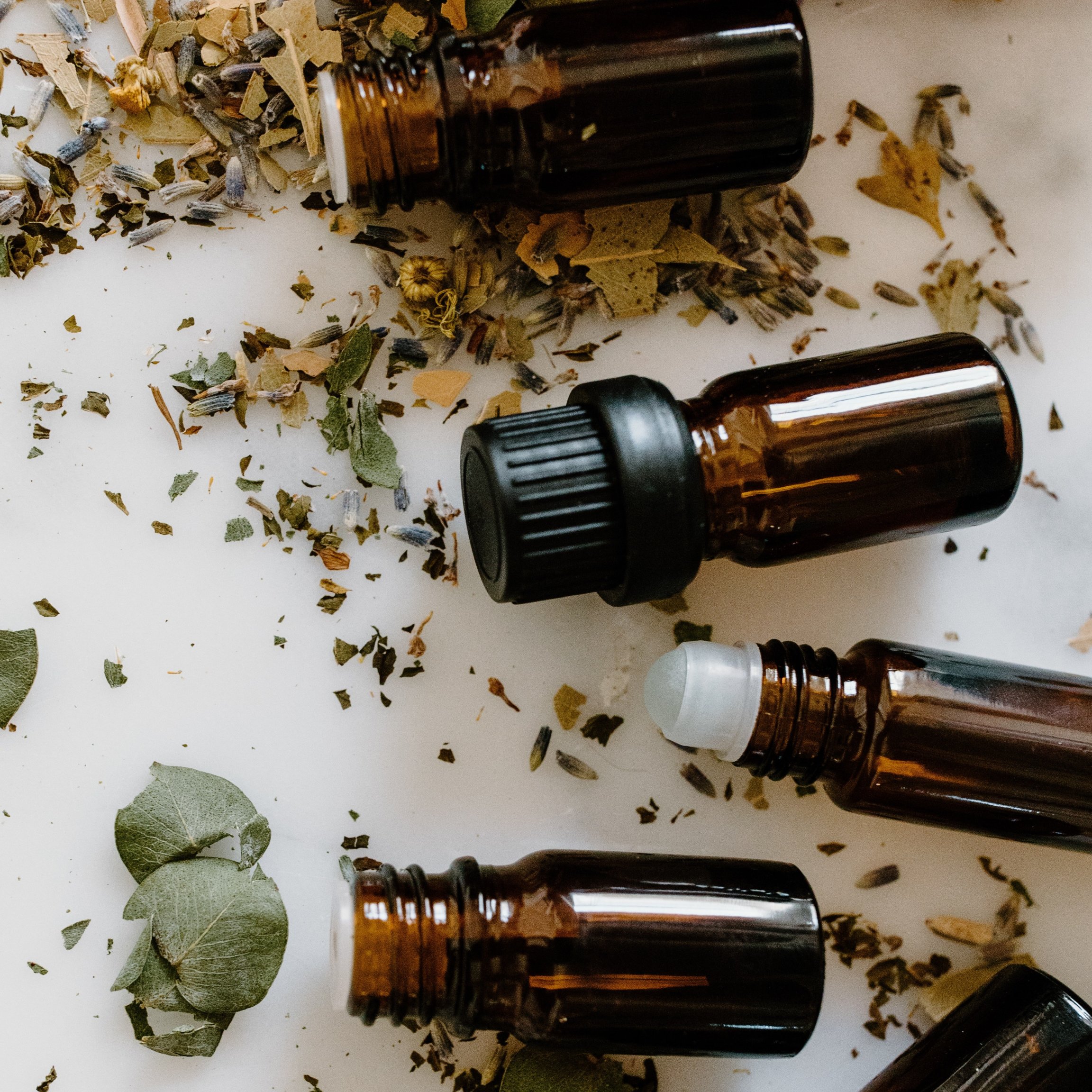 Plantes médicinales