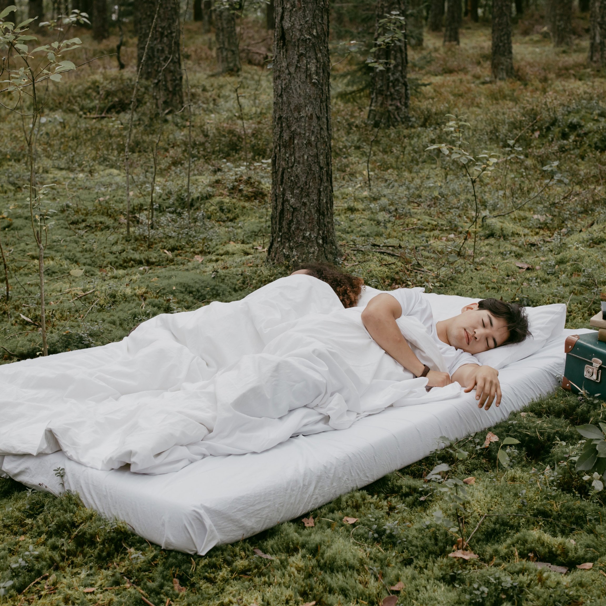 Optimize Your Sleep Environment