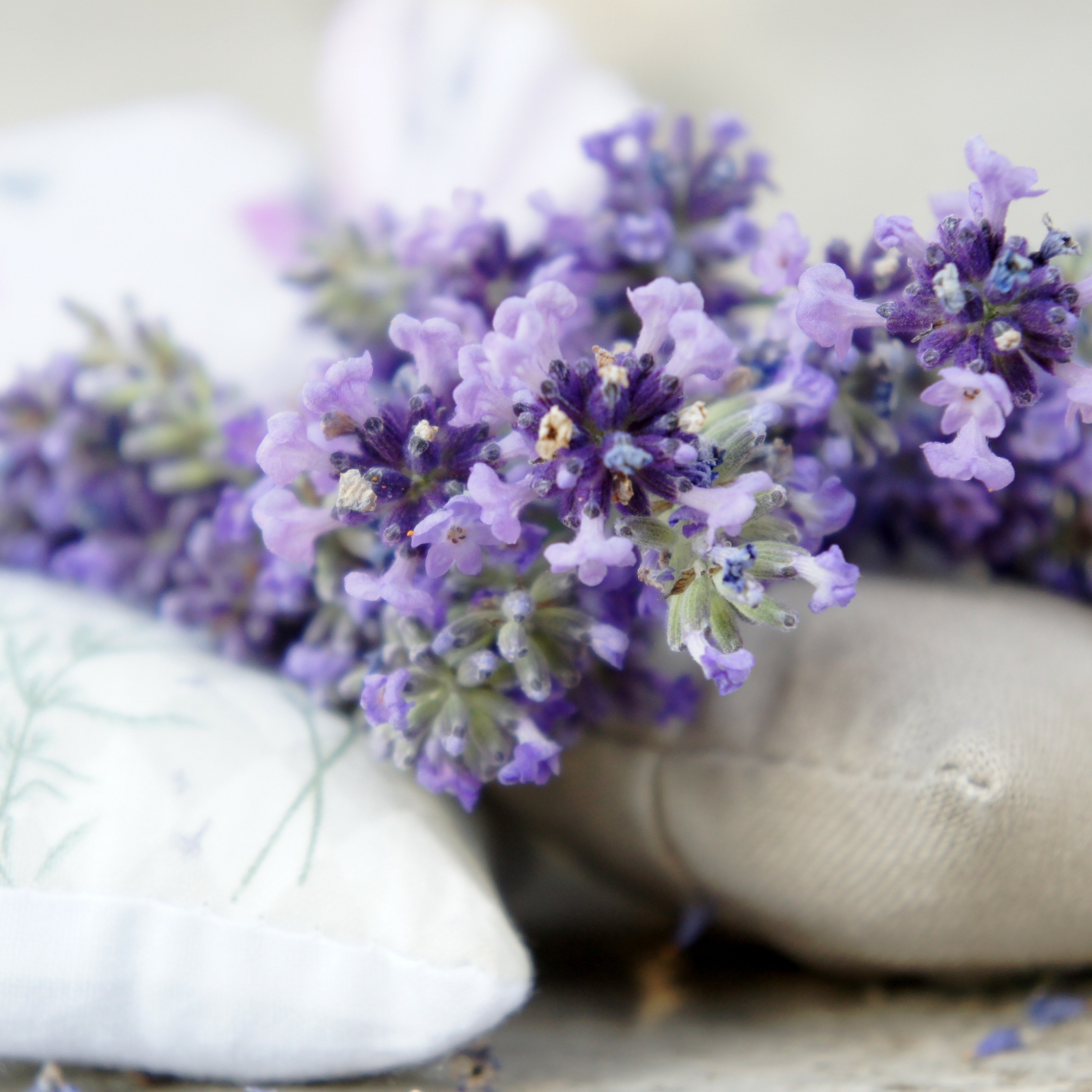 Lavender sachets for better sleep while traveling