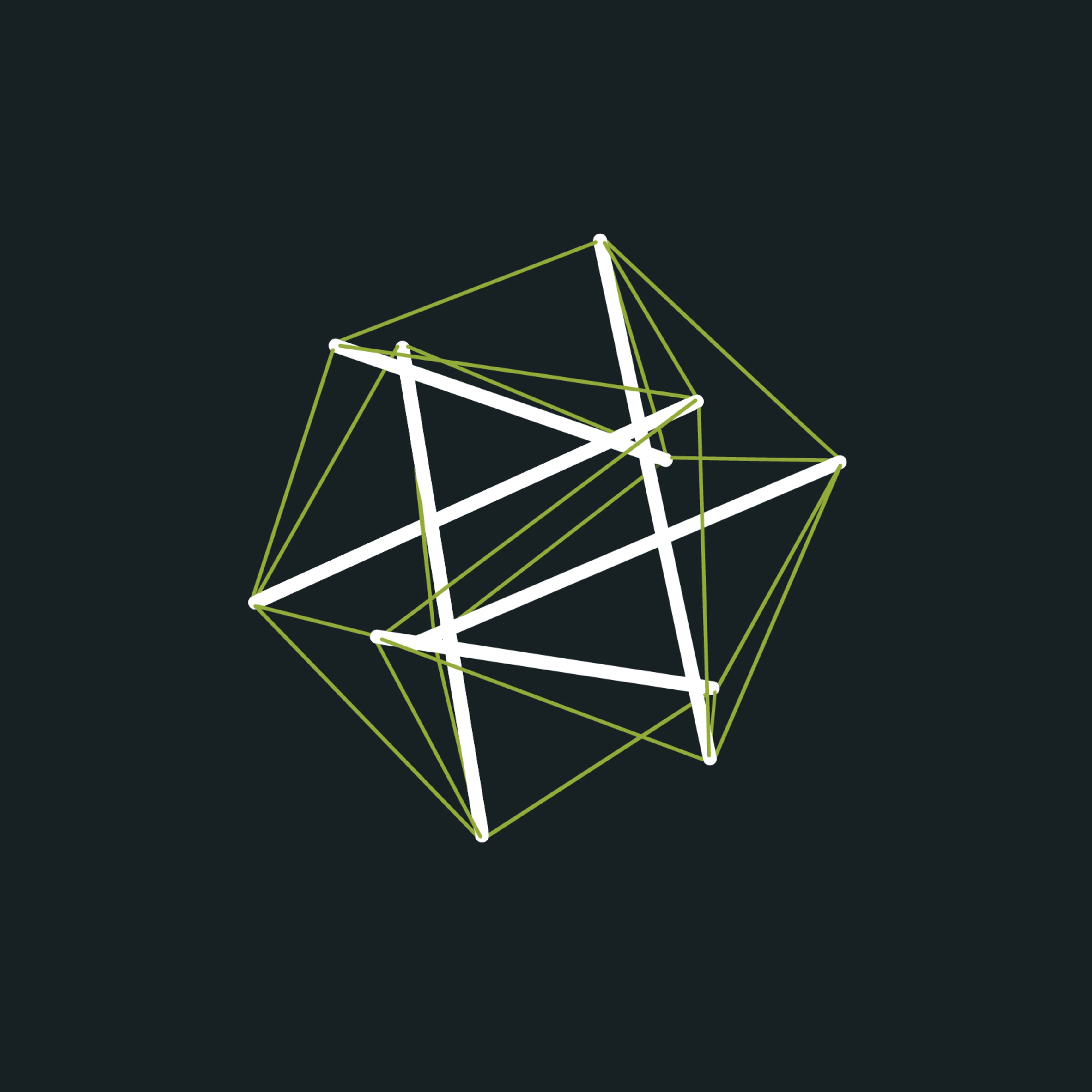 Tensegrity Model