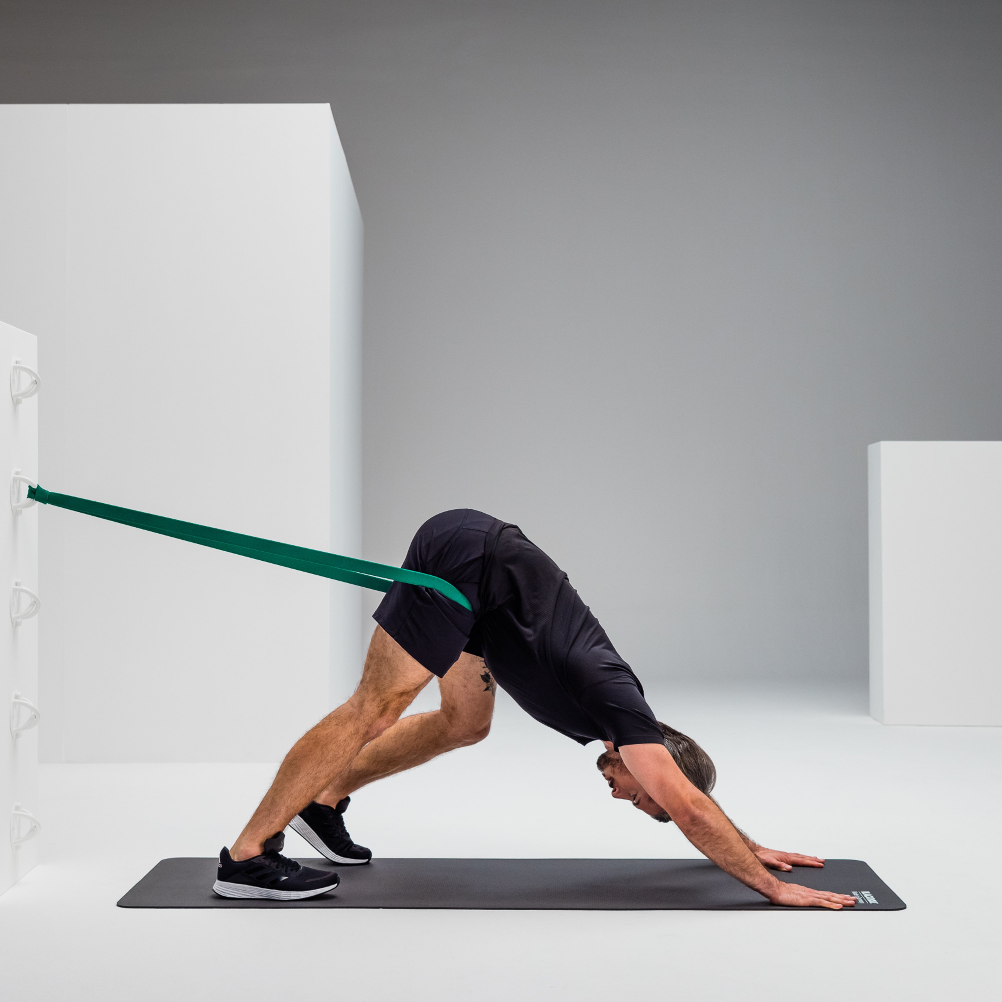 Downward Dog