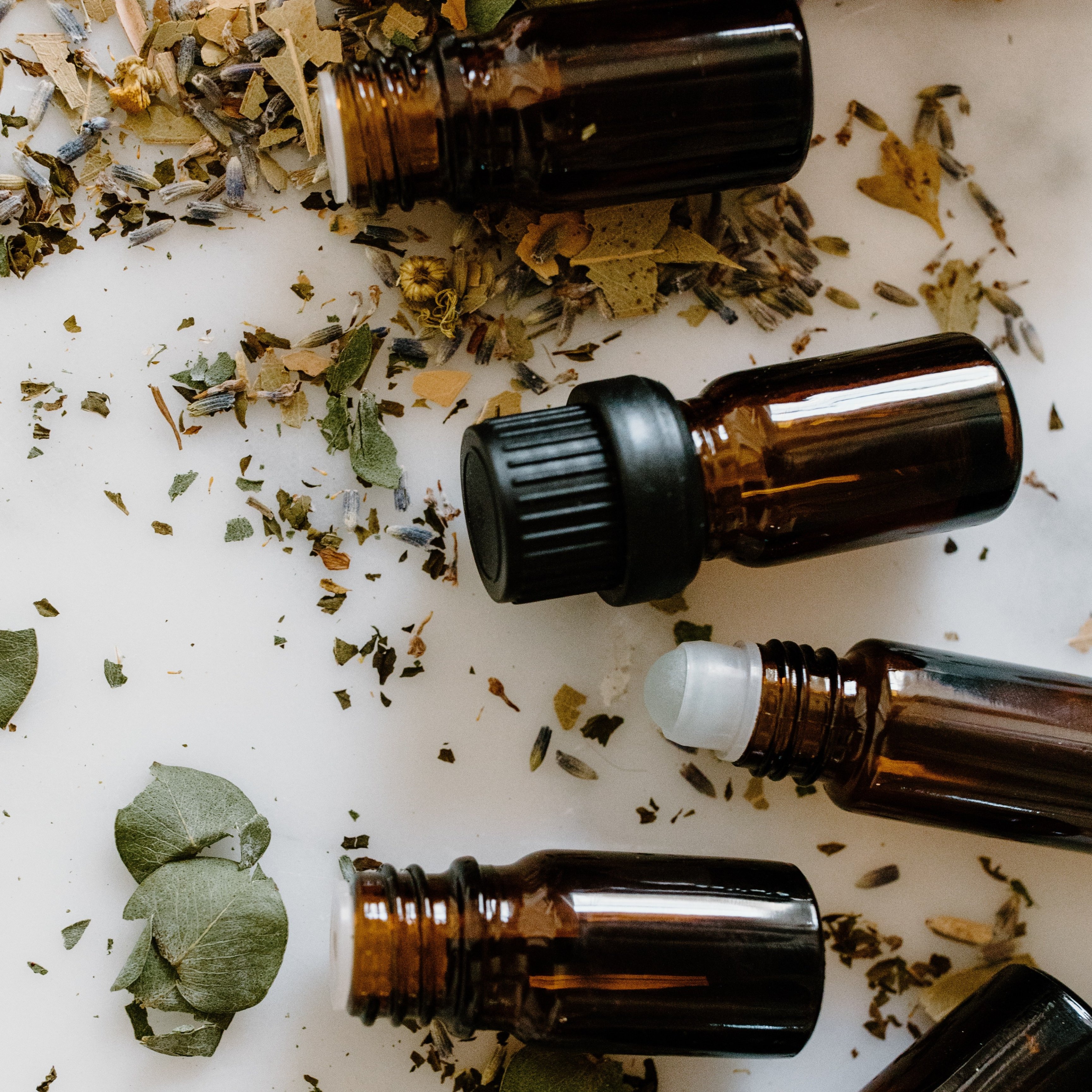 Medicinal Plants