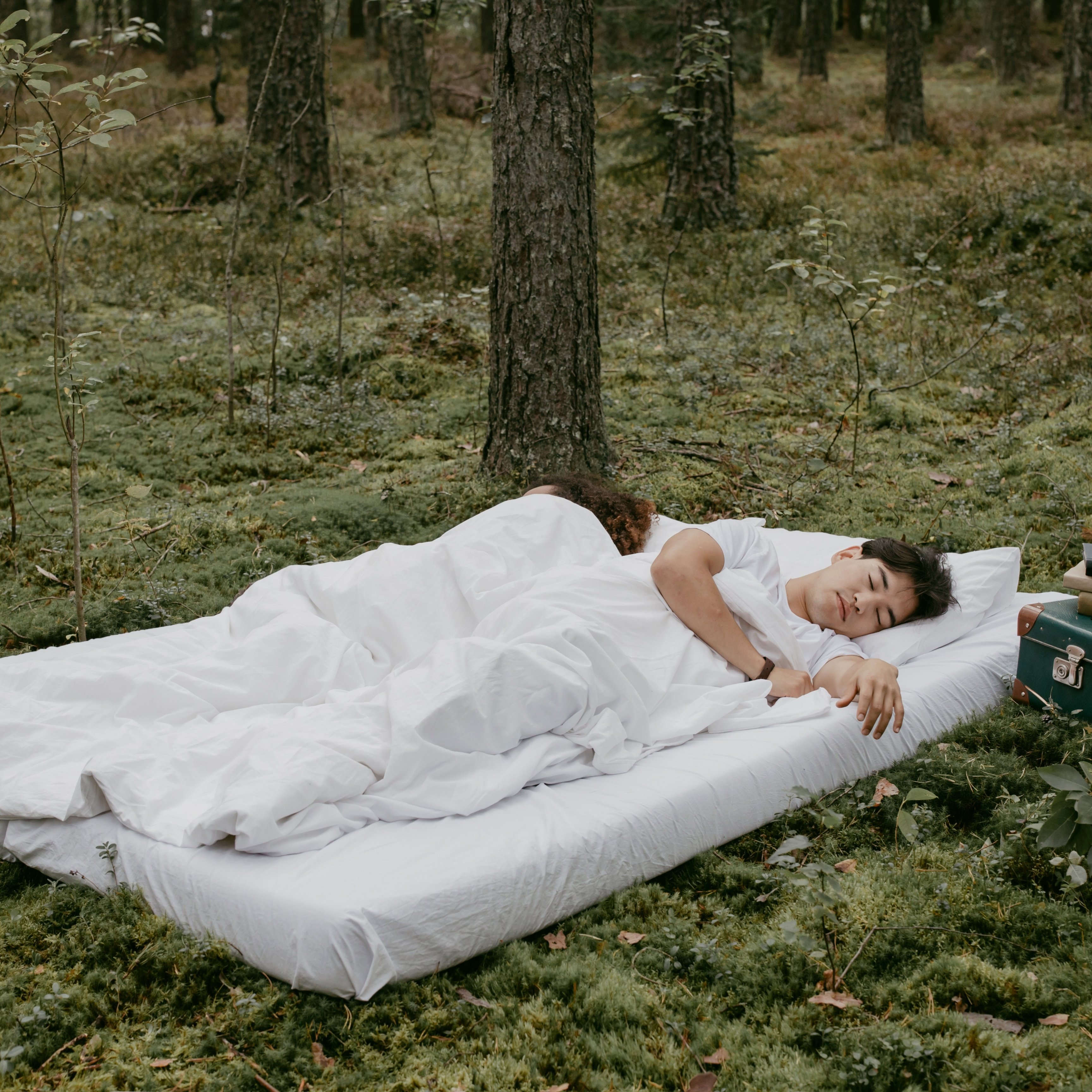 Optimize Your Sleep Environment