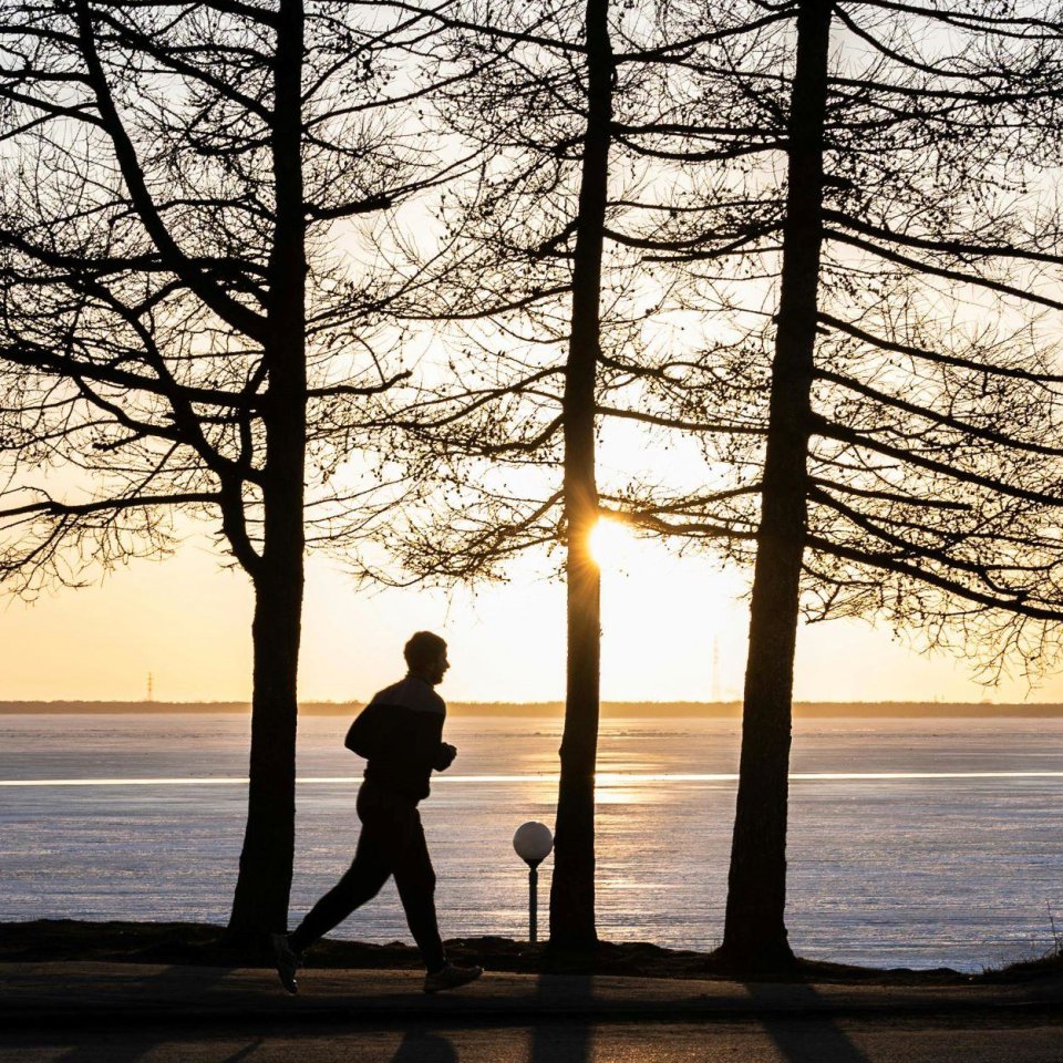 Run Winter