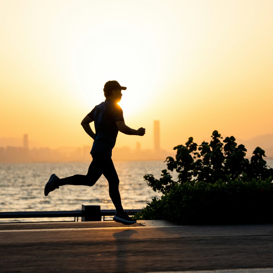 Regenerationslauf