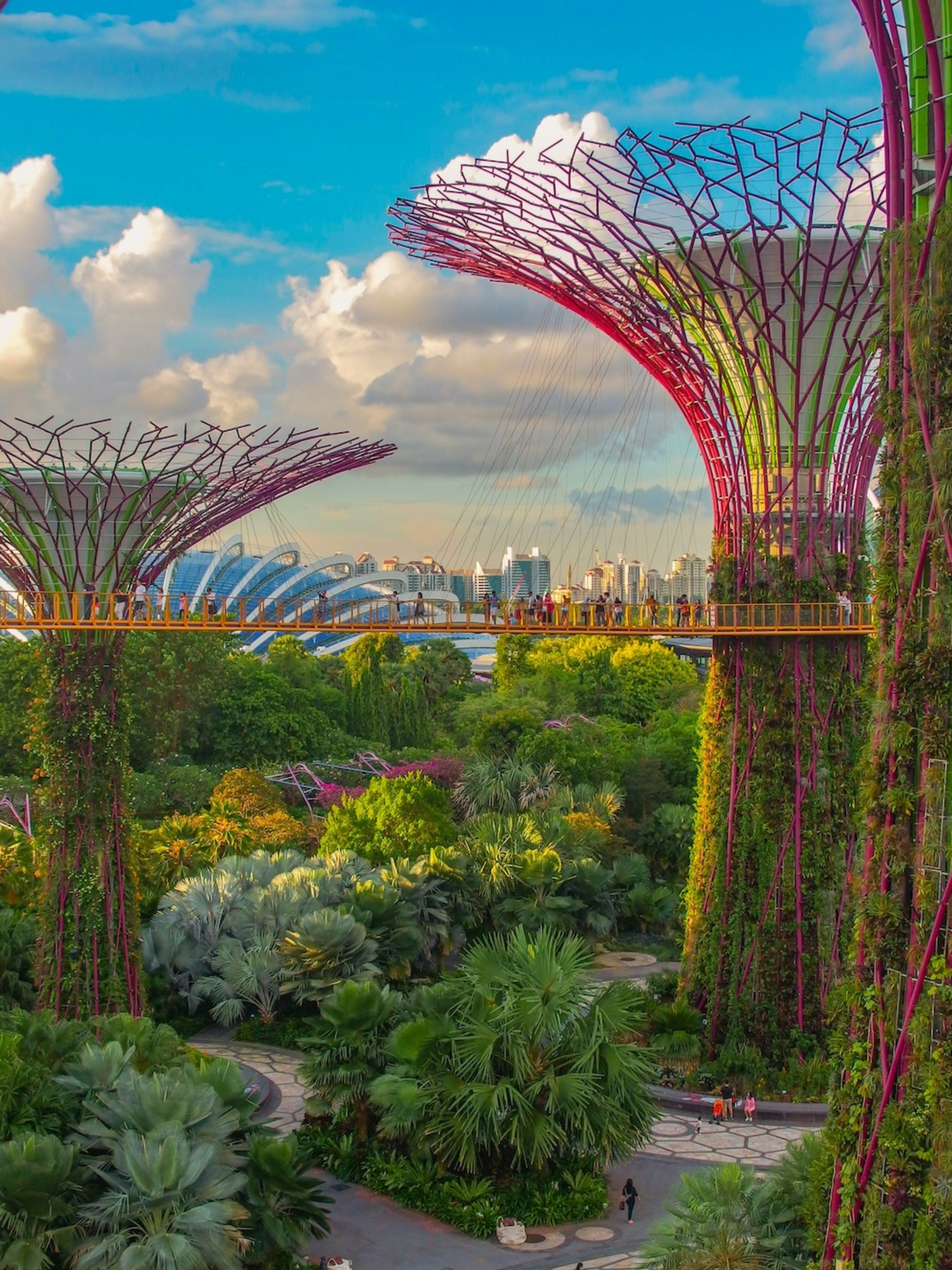 Blue Zones Singapore