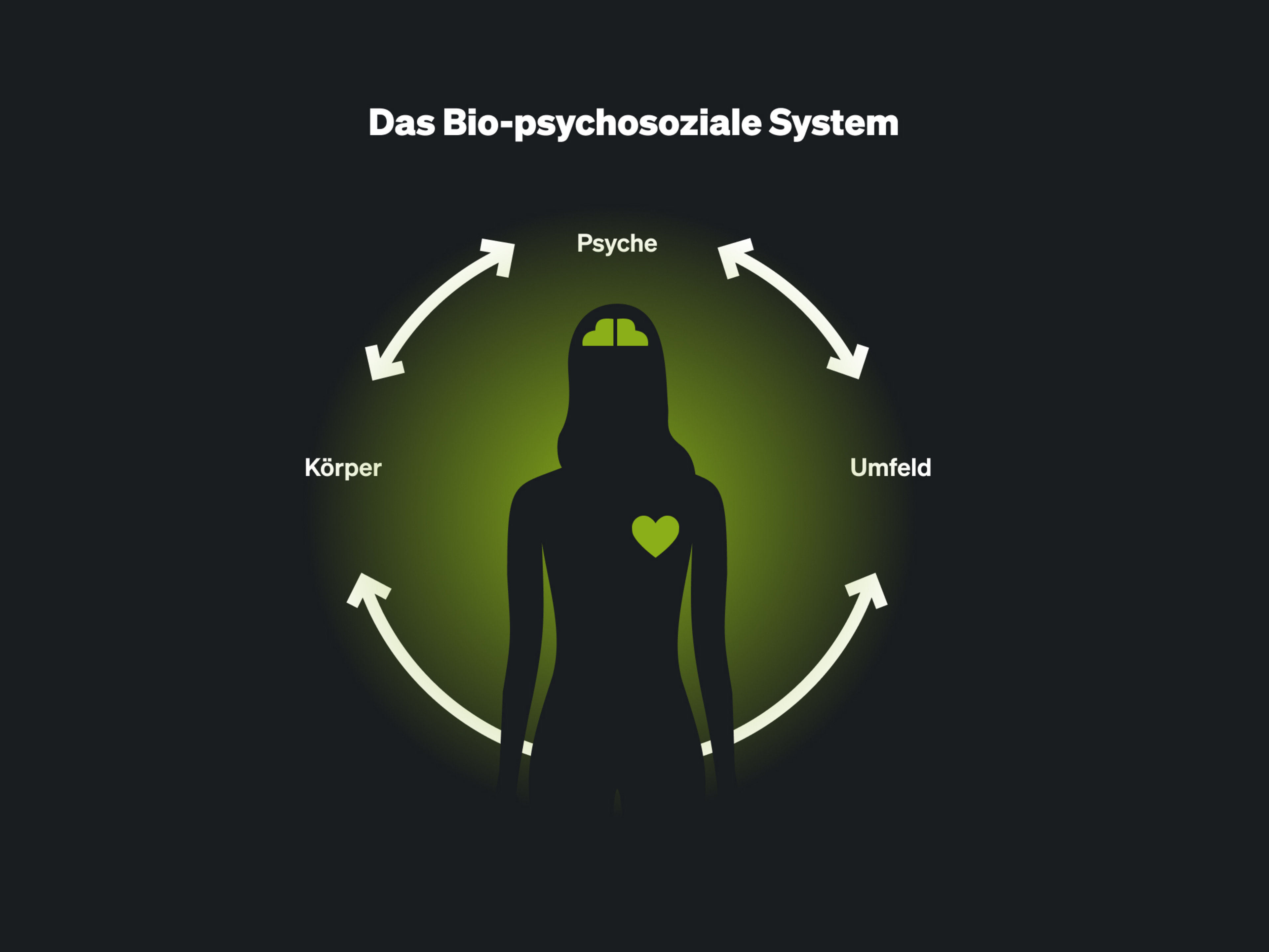 The biopsychosocial system
