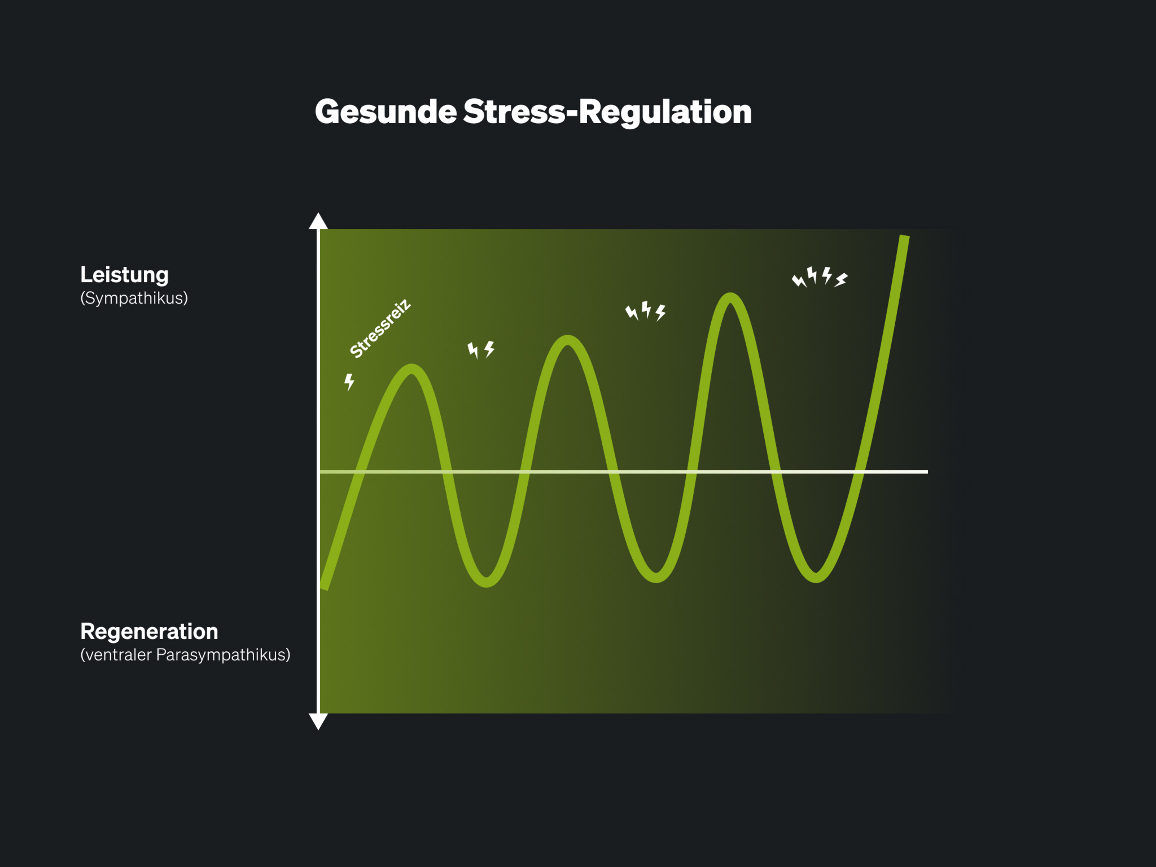 Healthy Stress Regulation