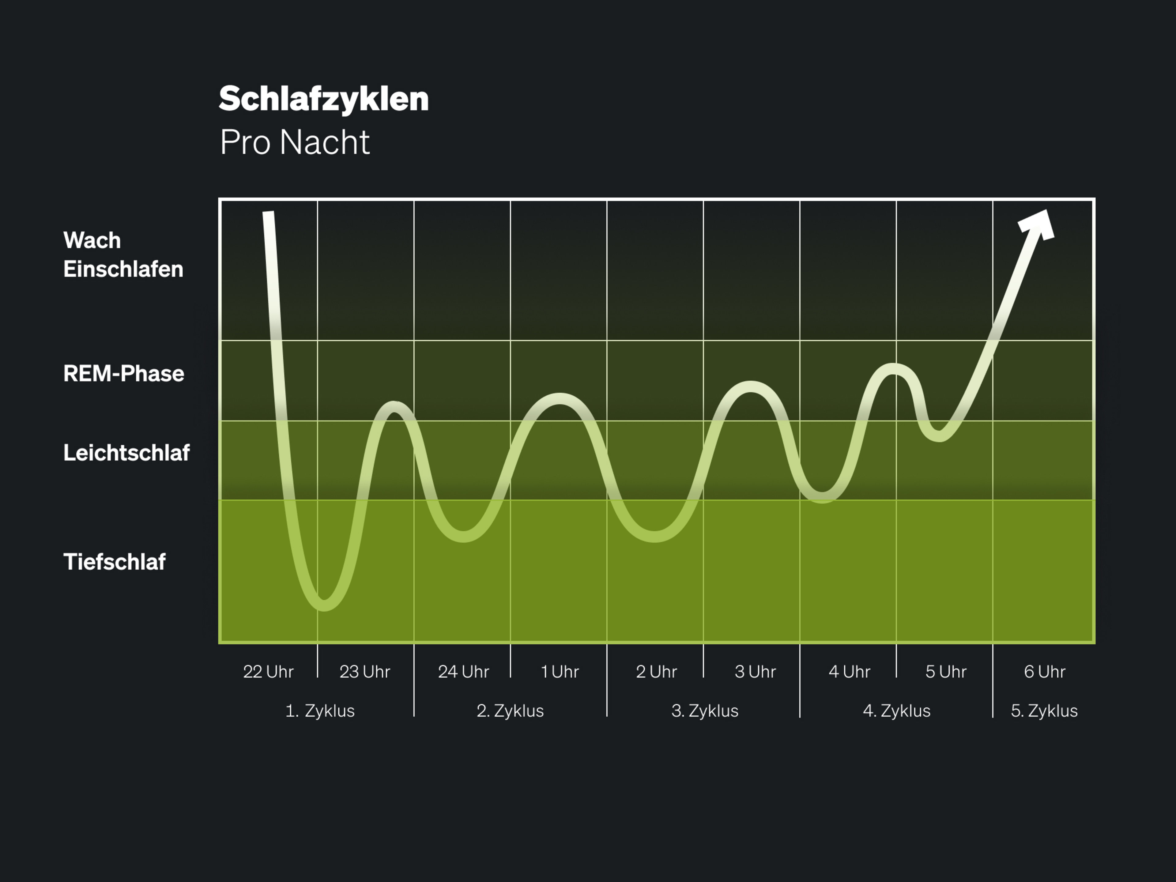 Sleep cycles per night
