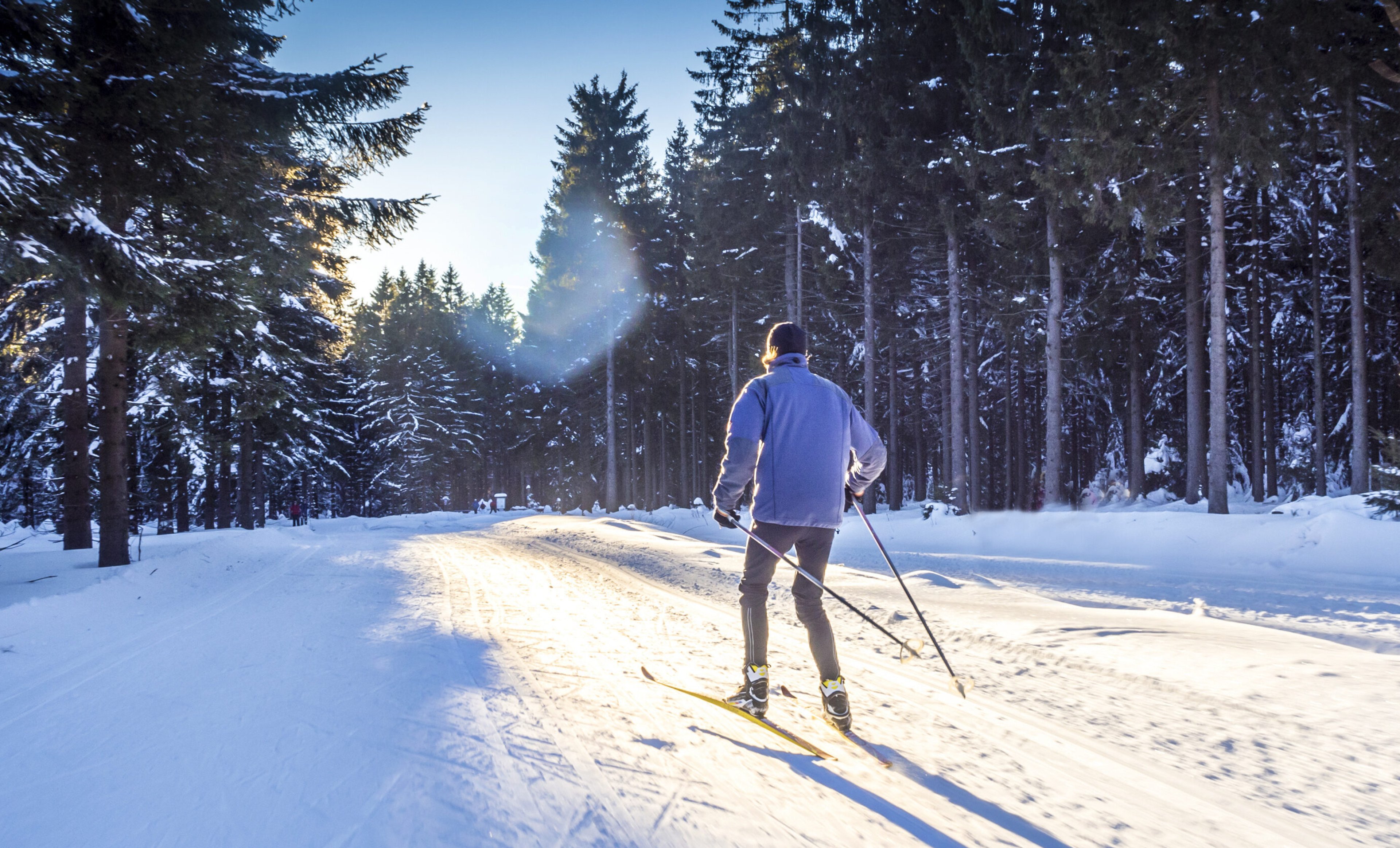 Building Muscle for Cross-Country Skiing: 6 Effective Exercises
