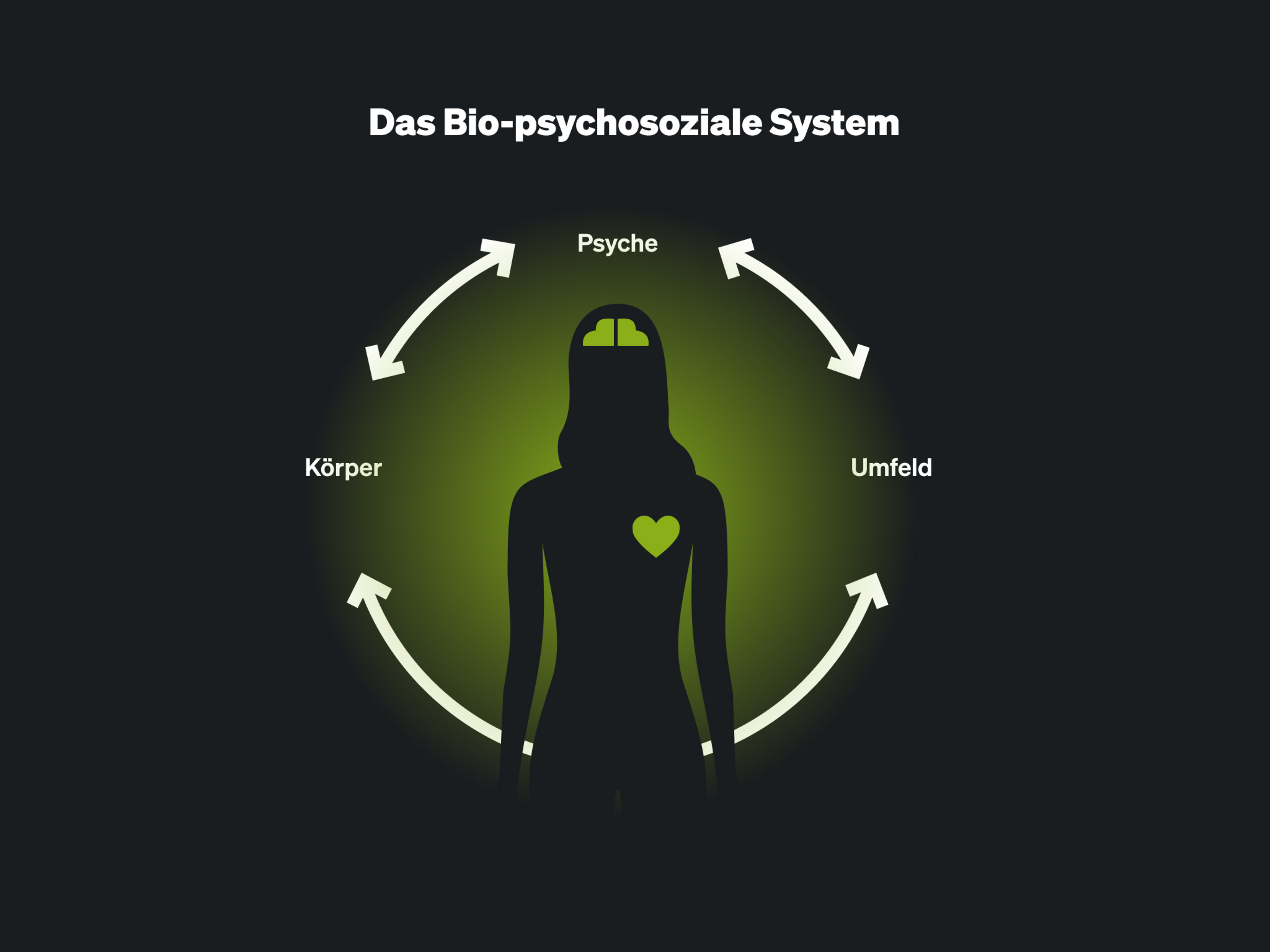 The biopsychosocial system