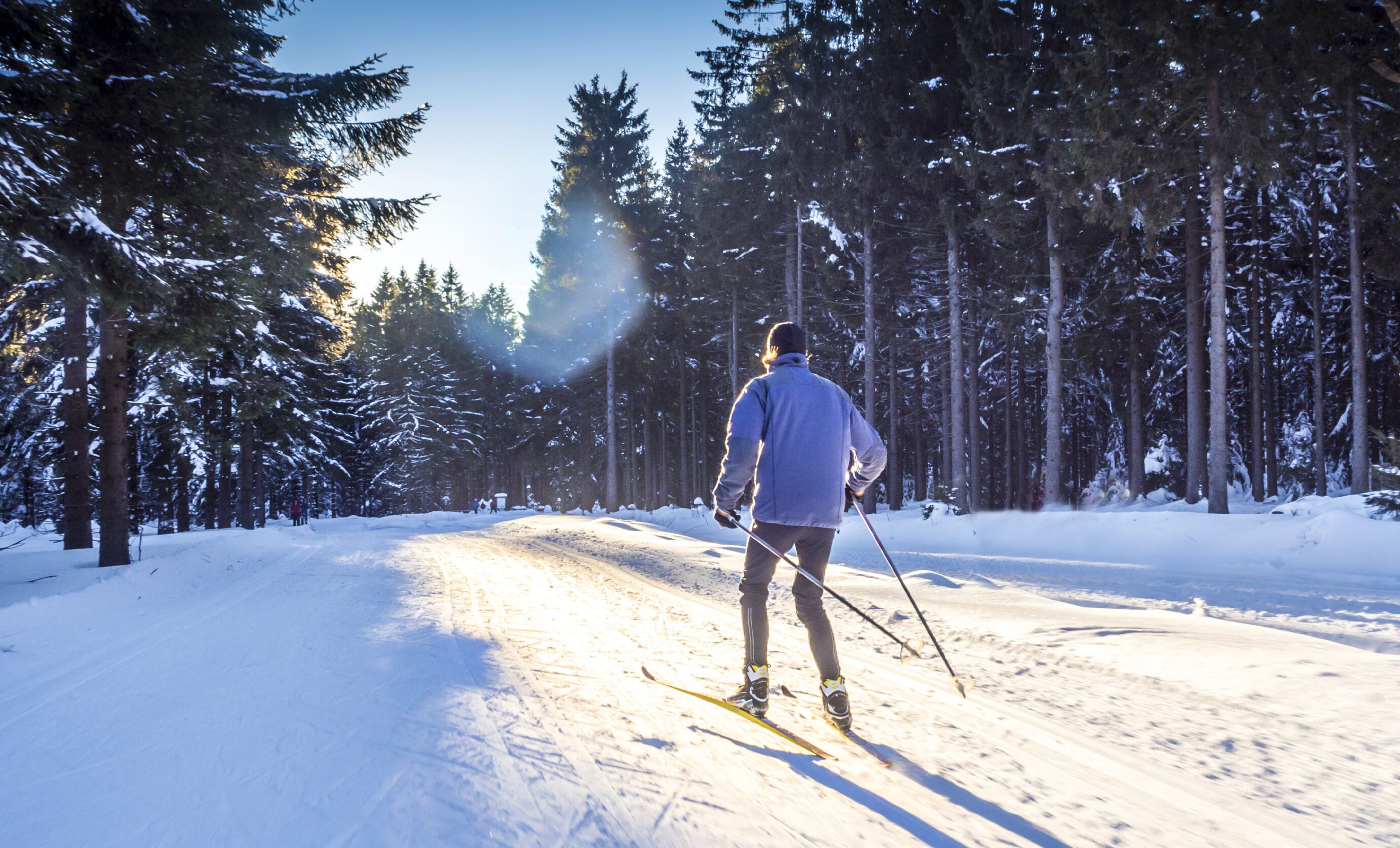 Building Muscle for Cross-Country Skiing: 6 Effective Exercises