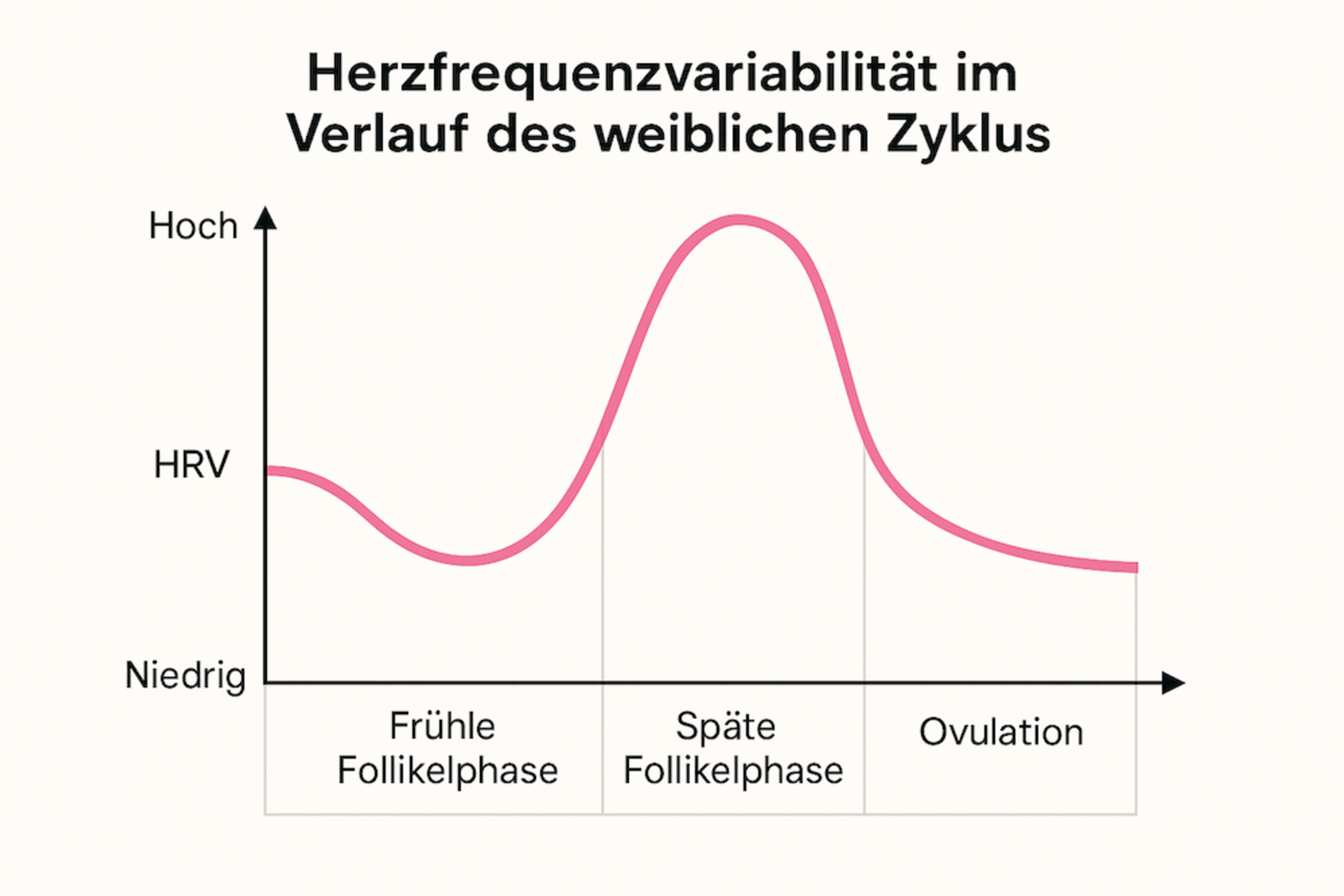 HRV Cycle
