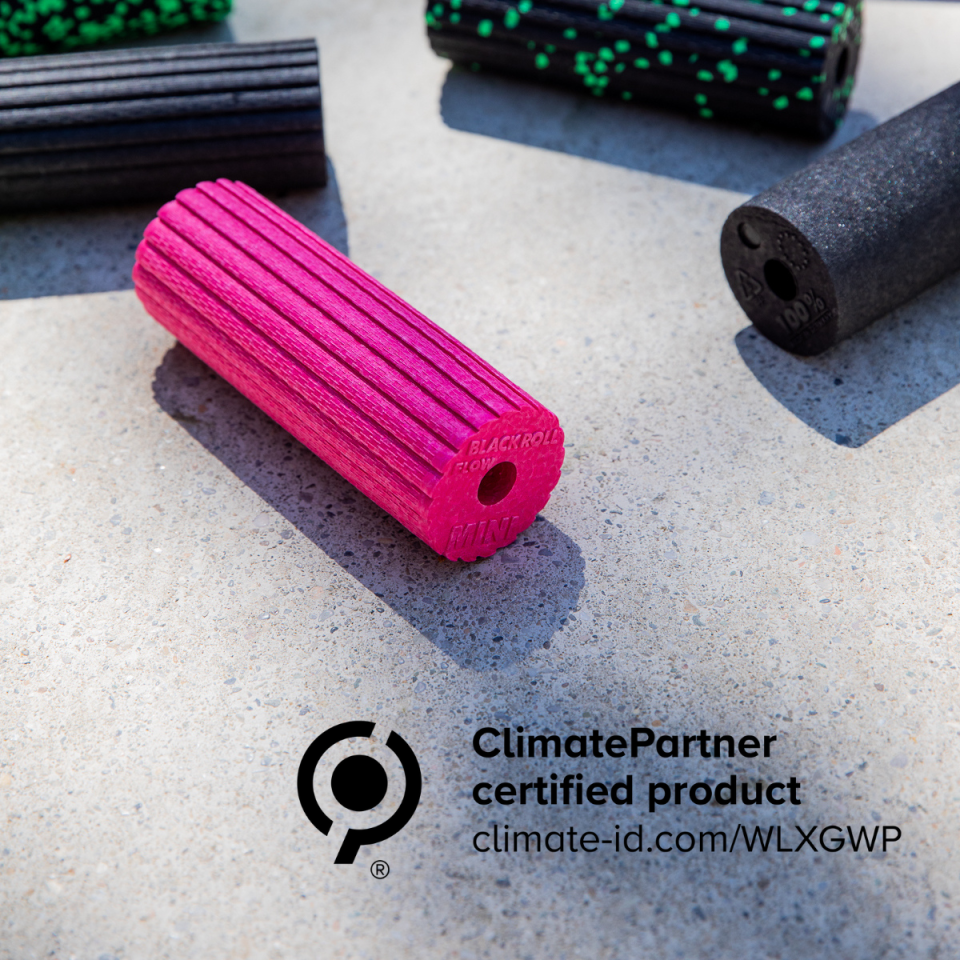 Climate Partner Logo EPP EN