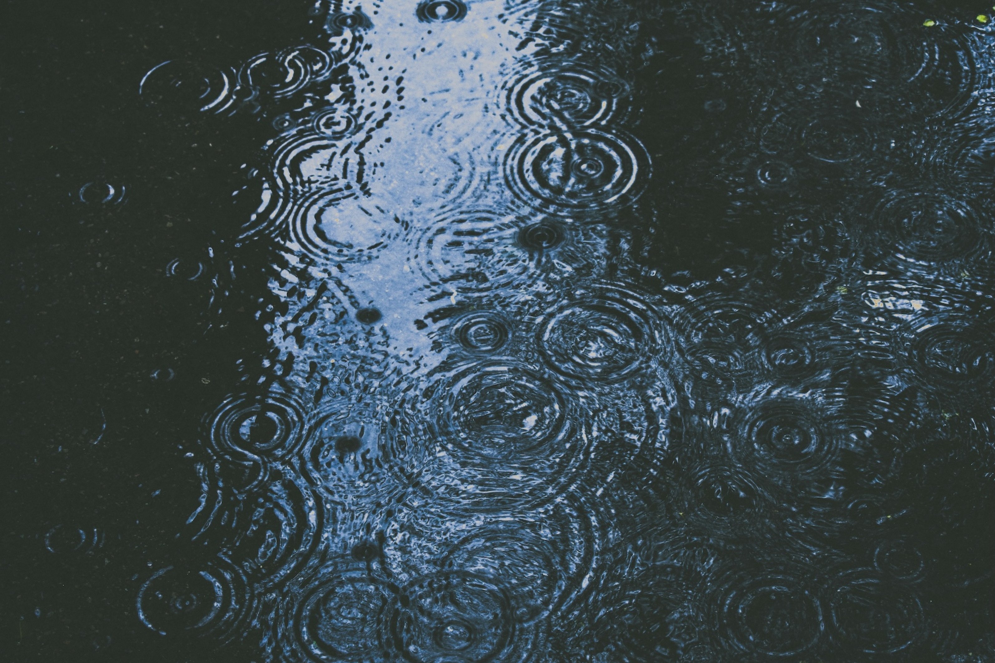 Wetterfuehligkeit