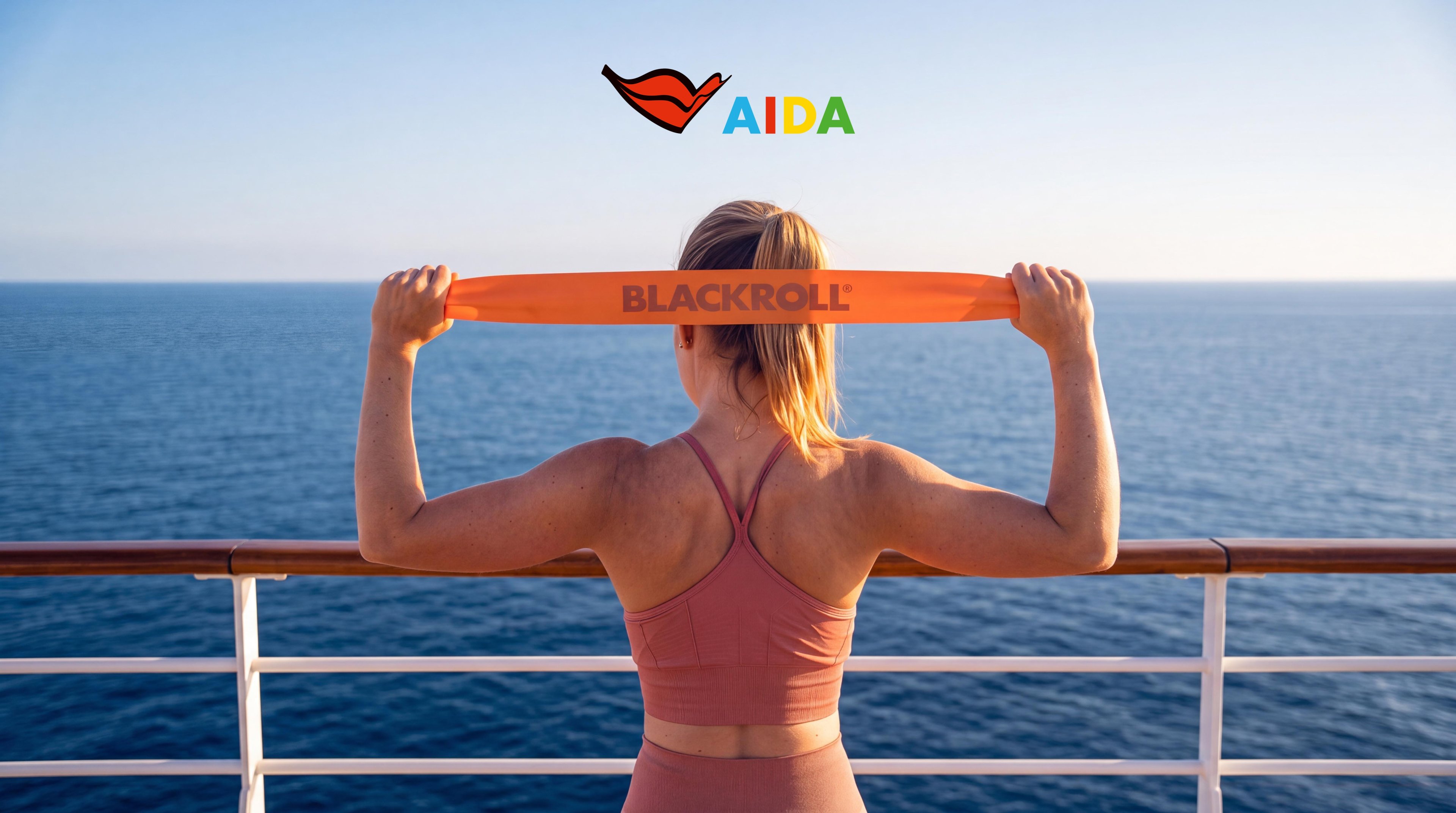 BLACKROLL AIDA HEADERBILD 03 1 AIDA Logo